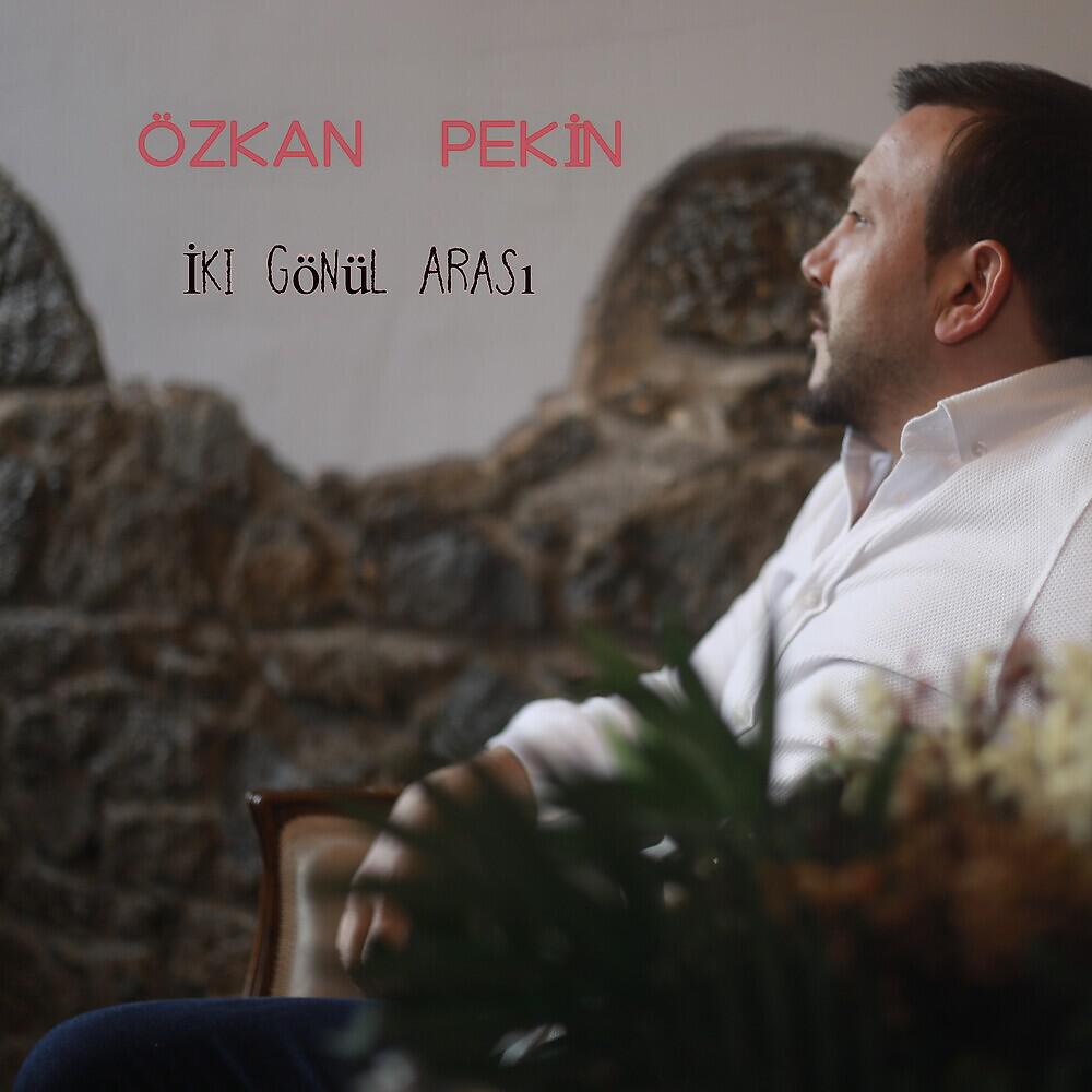 Релиз İki Gönül Arası