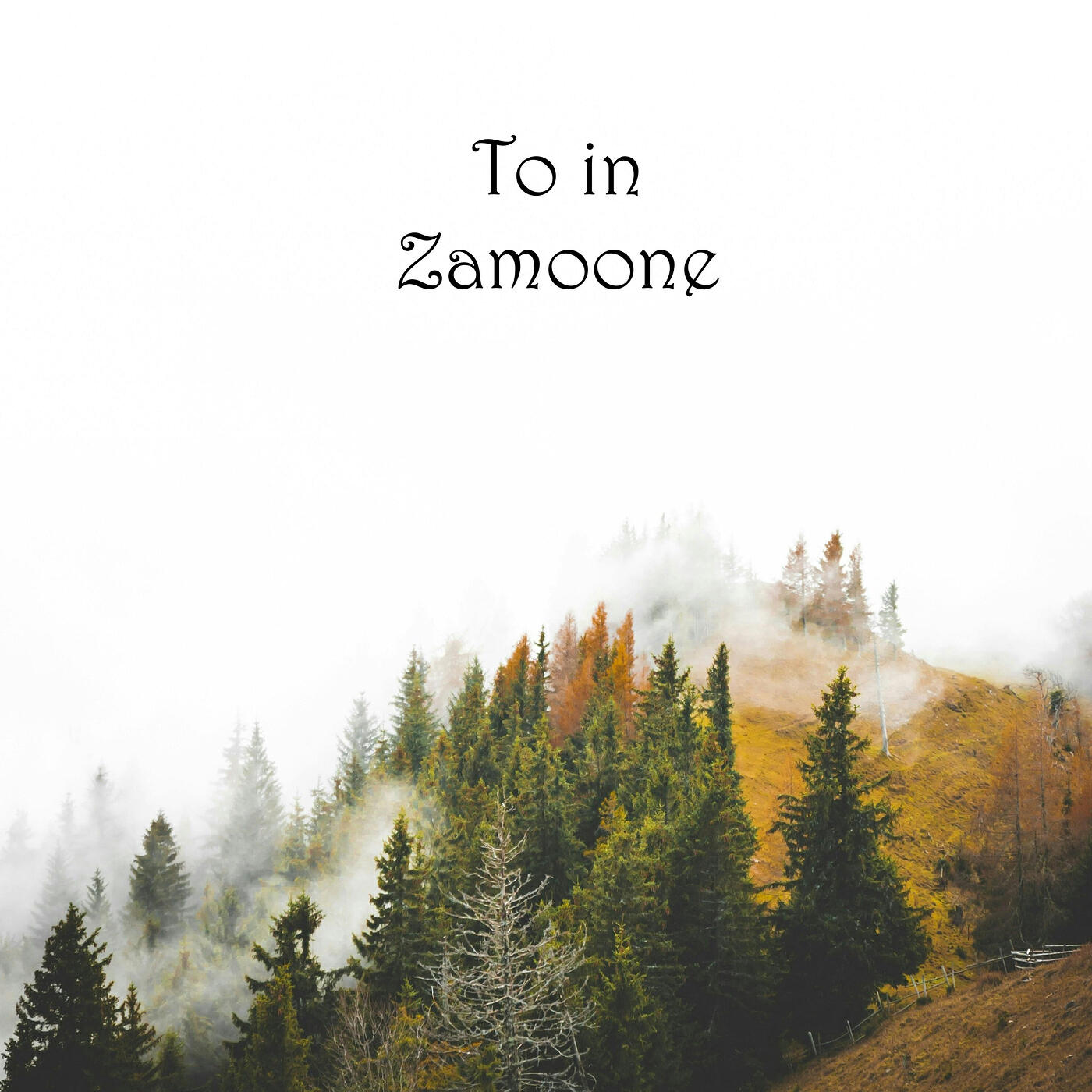 Релиз To in Zamoone