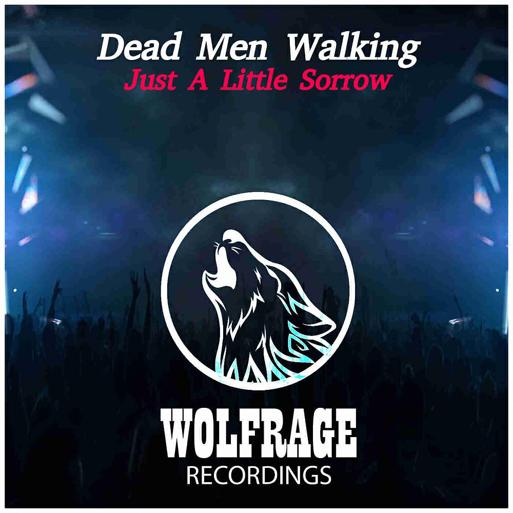 Релиз Just A Little Sorrow