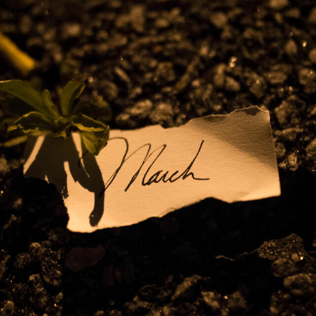 Релиз March