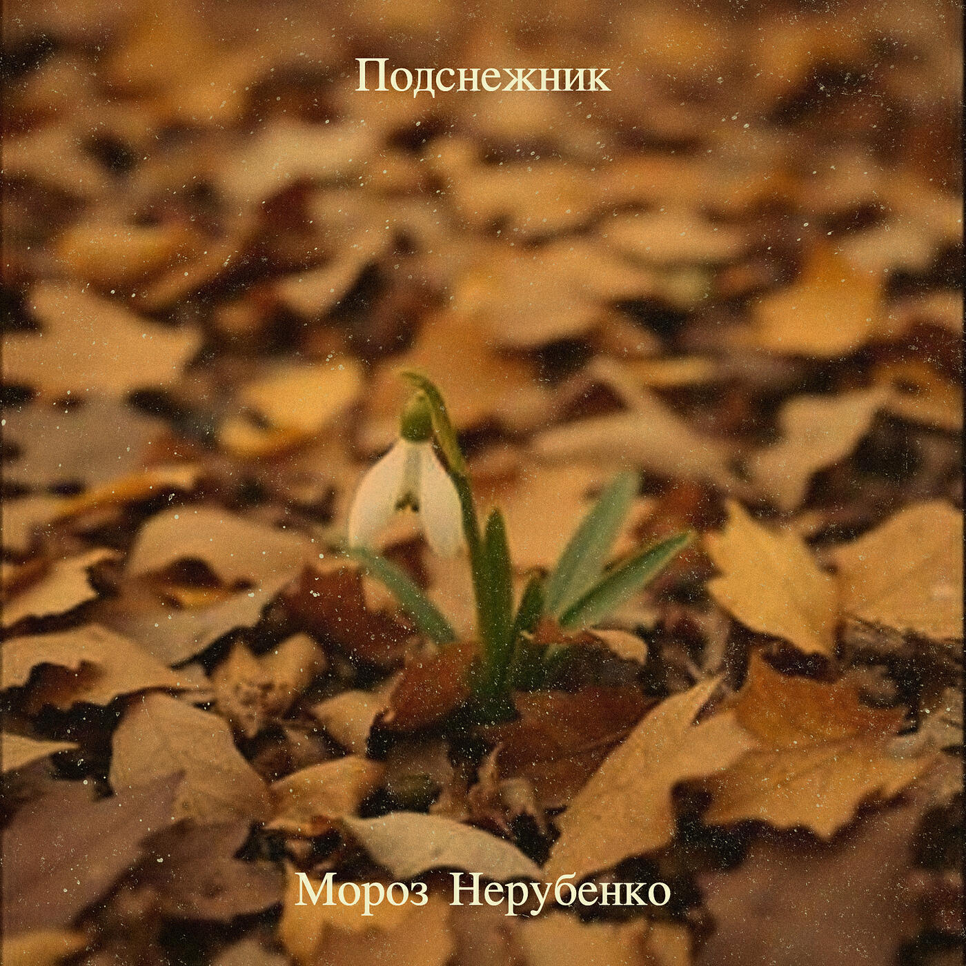 Релиз Подснежник