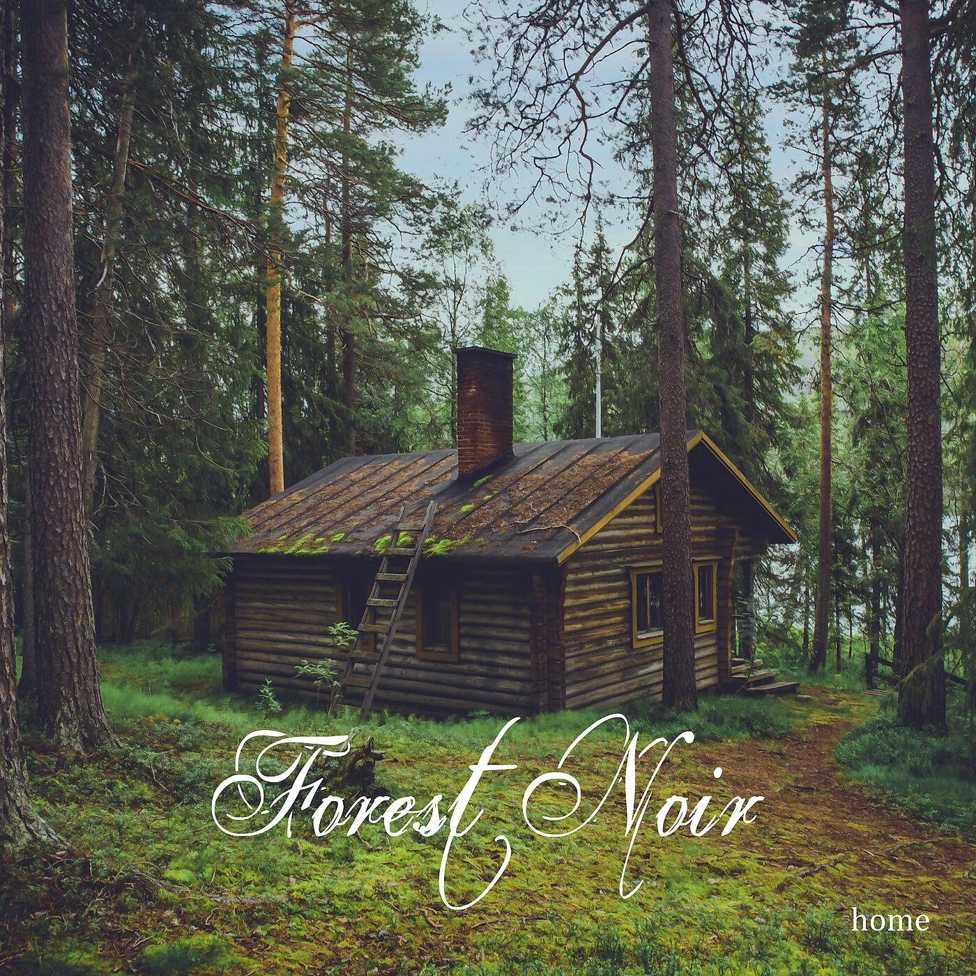 Релиз Home
