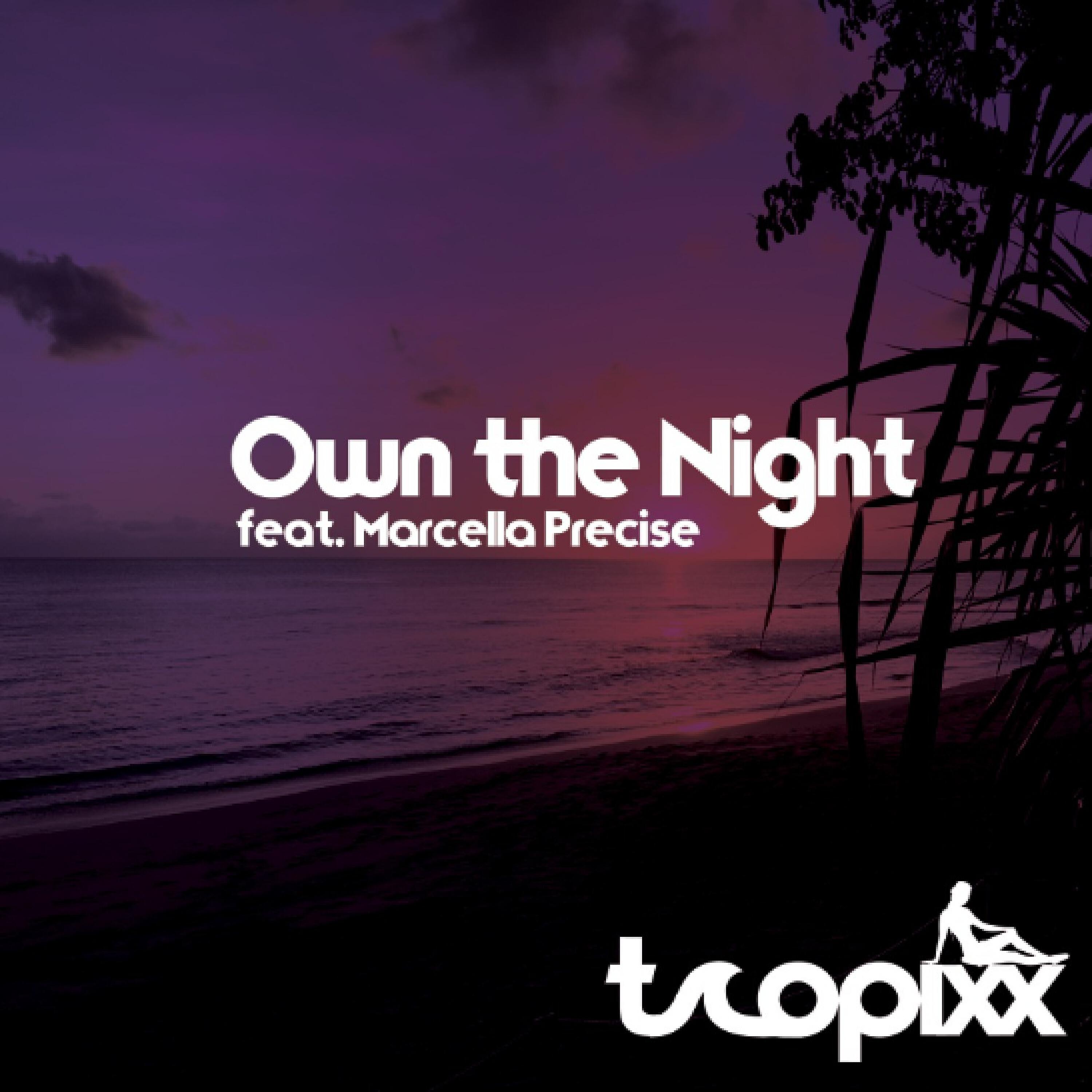 Релиз Own the Night (feat. Marcella Precise)