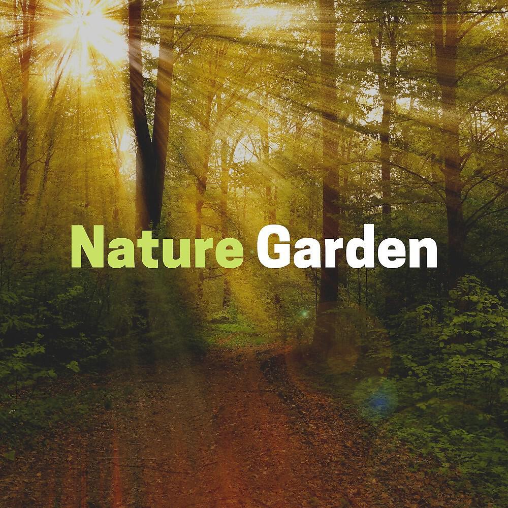 Трек The Nature of Rain Sounds