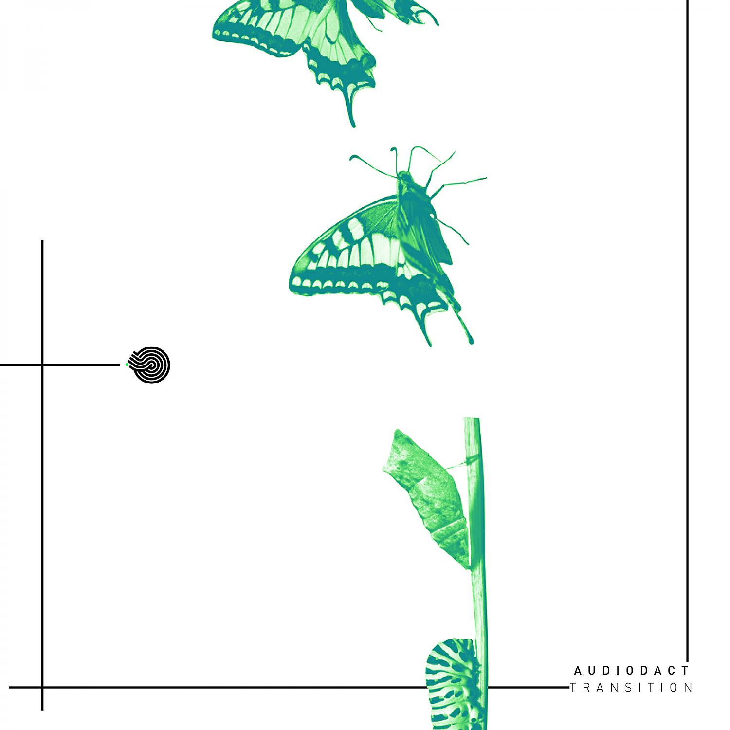 Релиз Transition
