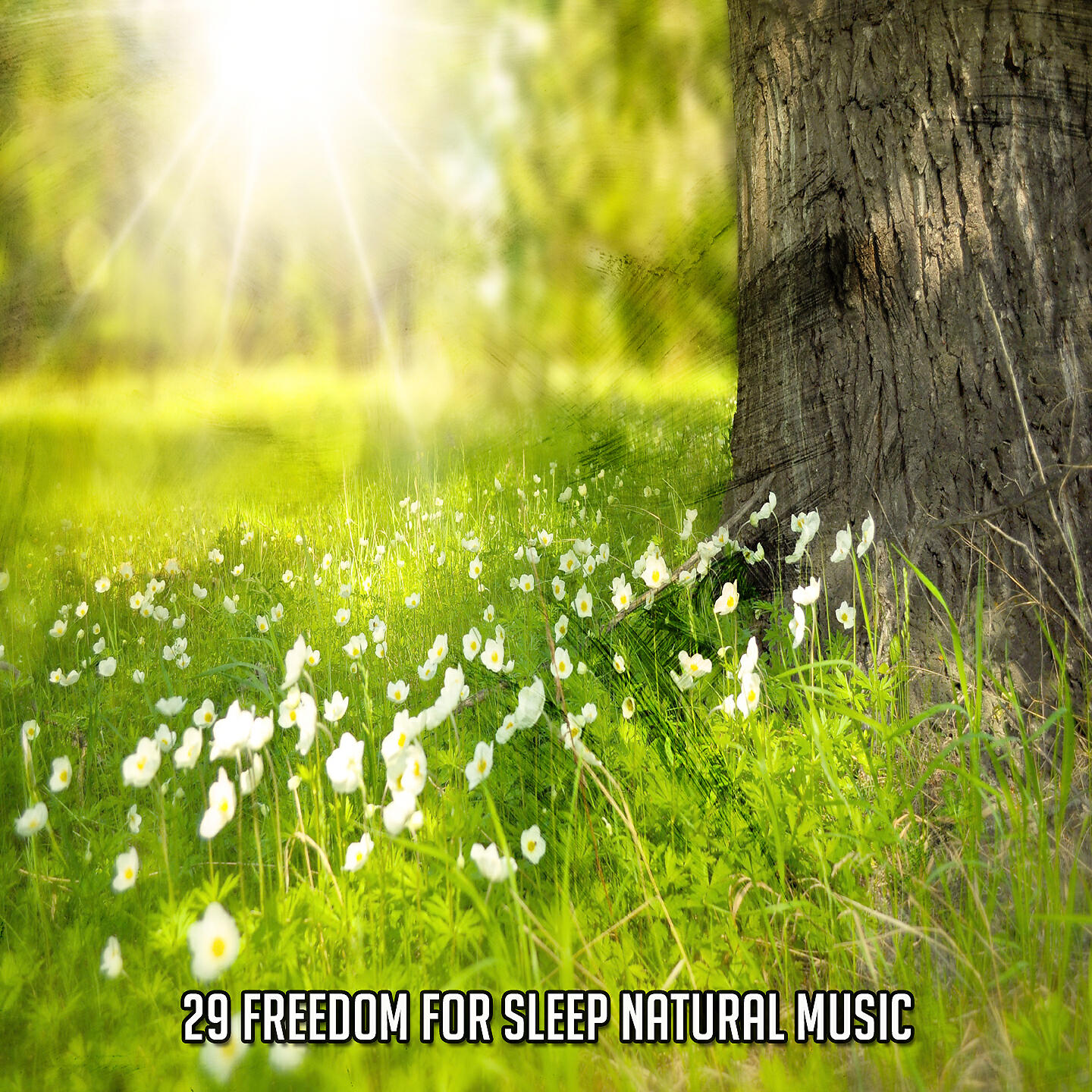 Релиз 29 Freedom For Sleep Естественная музыка