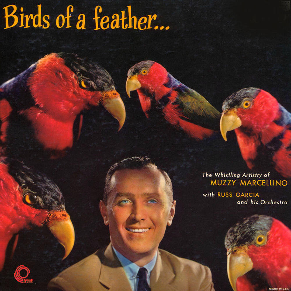 Релиз Birds of a Feather