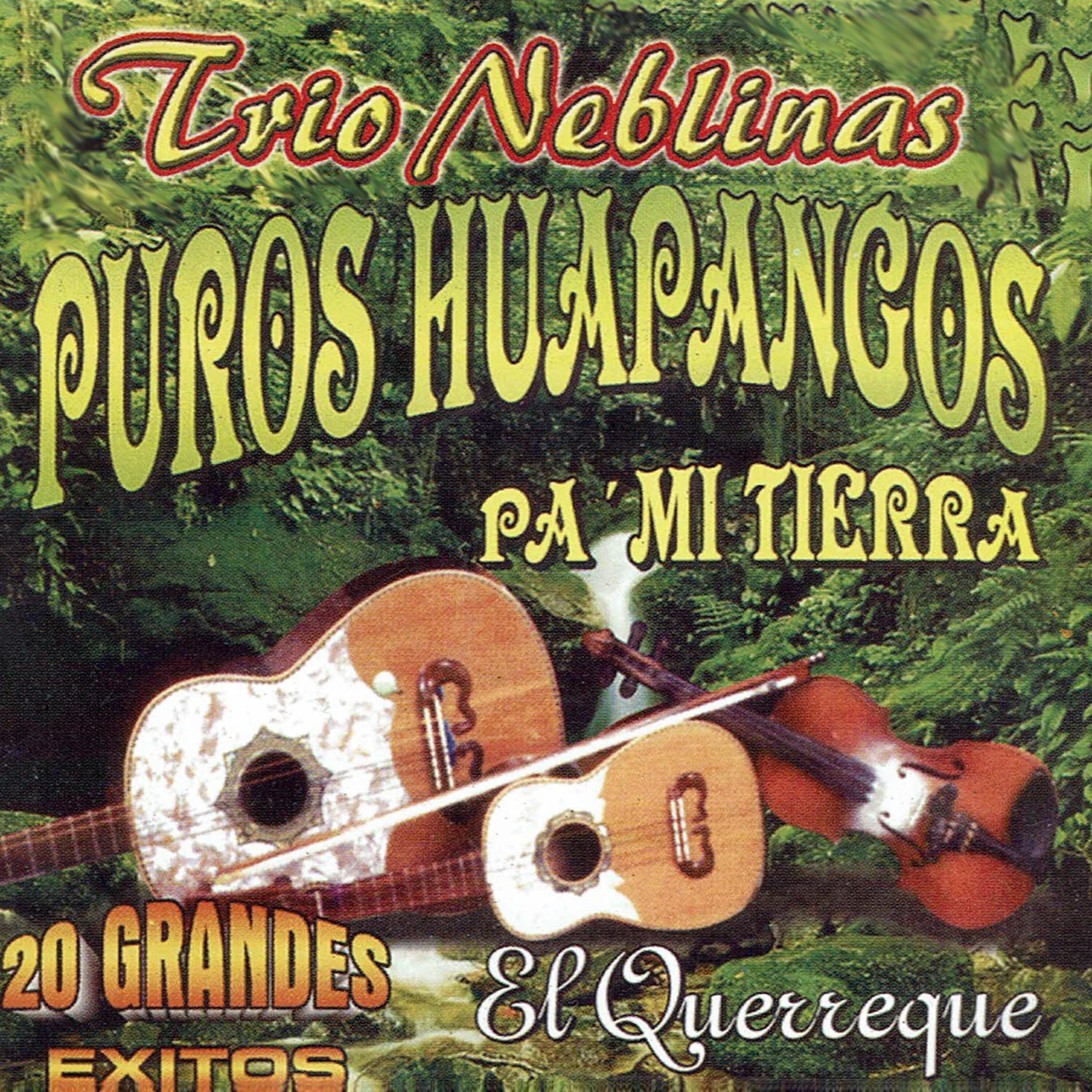 Trío Neblinas