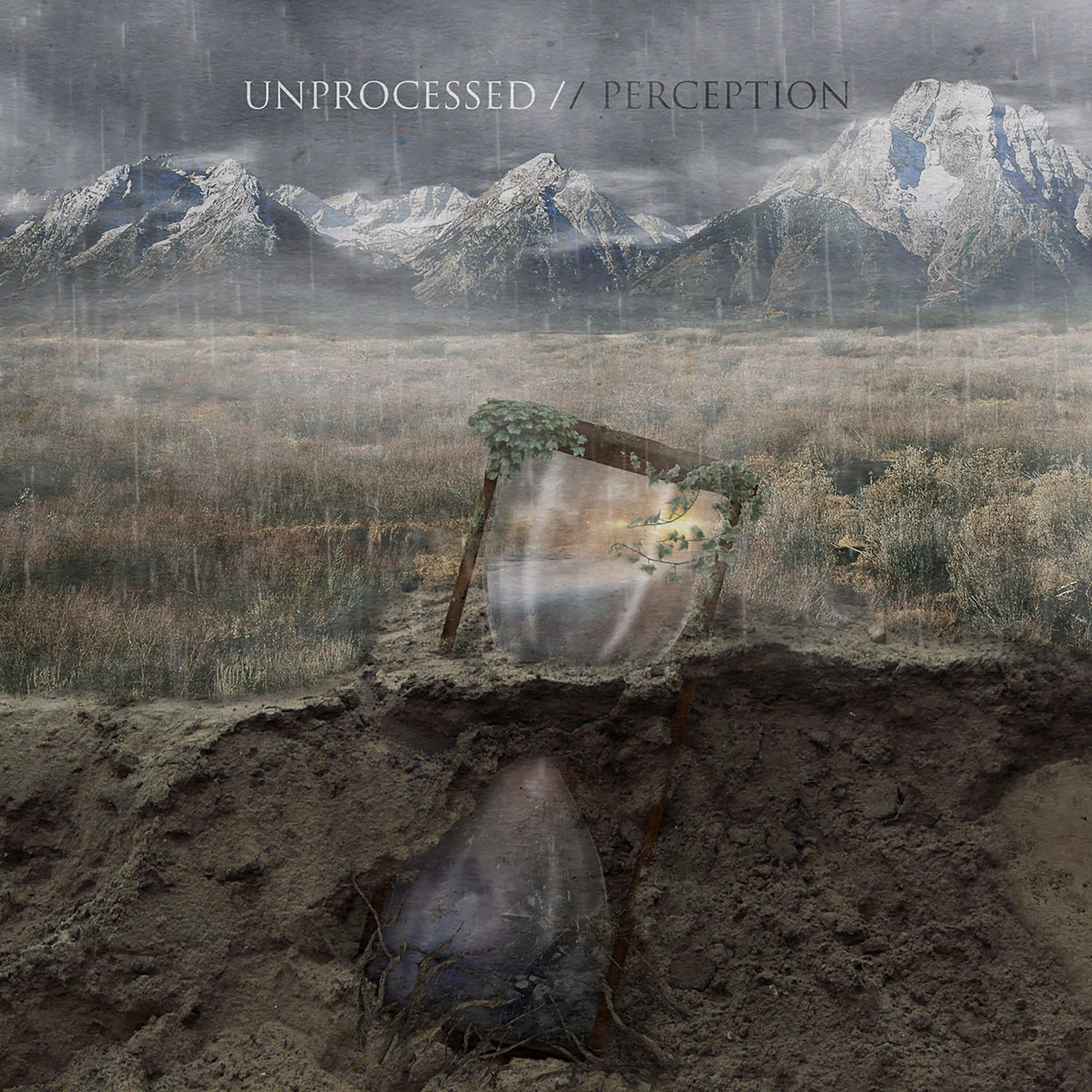Релиз Perception