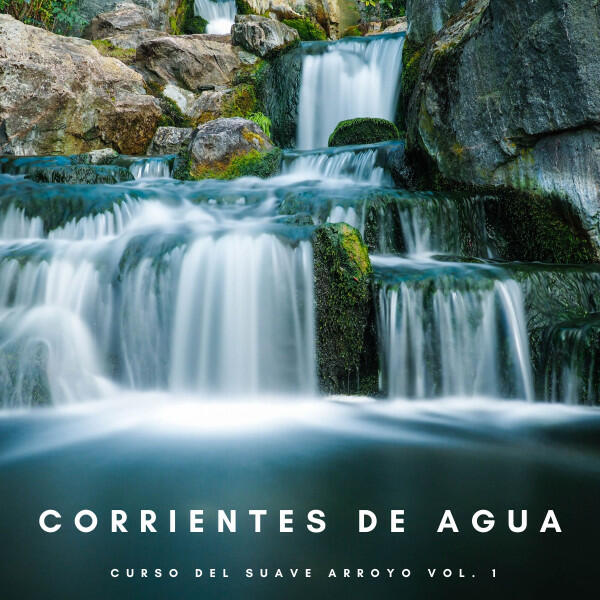 Релиз Corrientes De Agua: Curso Del Suave Arroyo Vol. 1