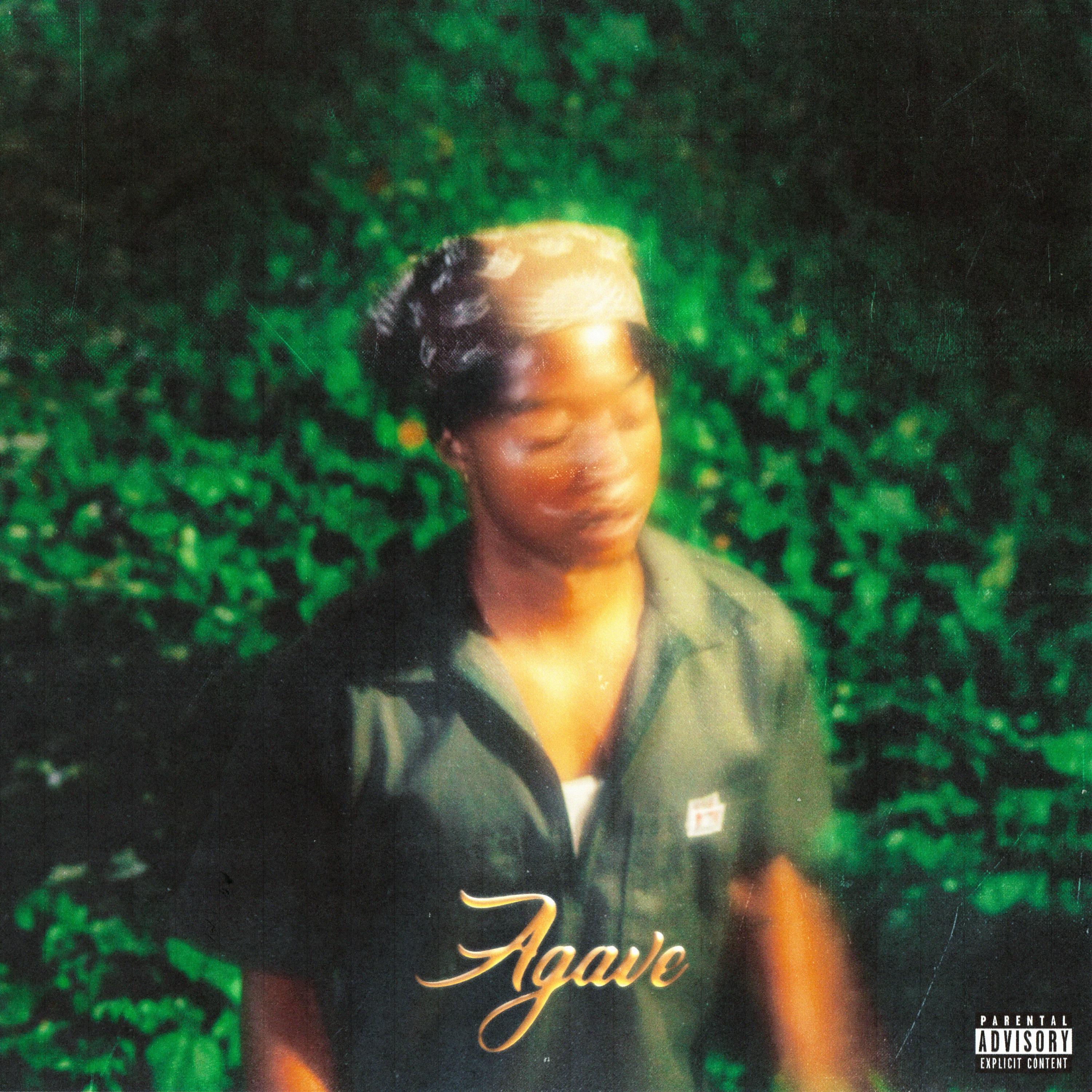 Релиз Agave
