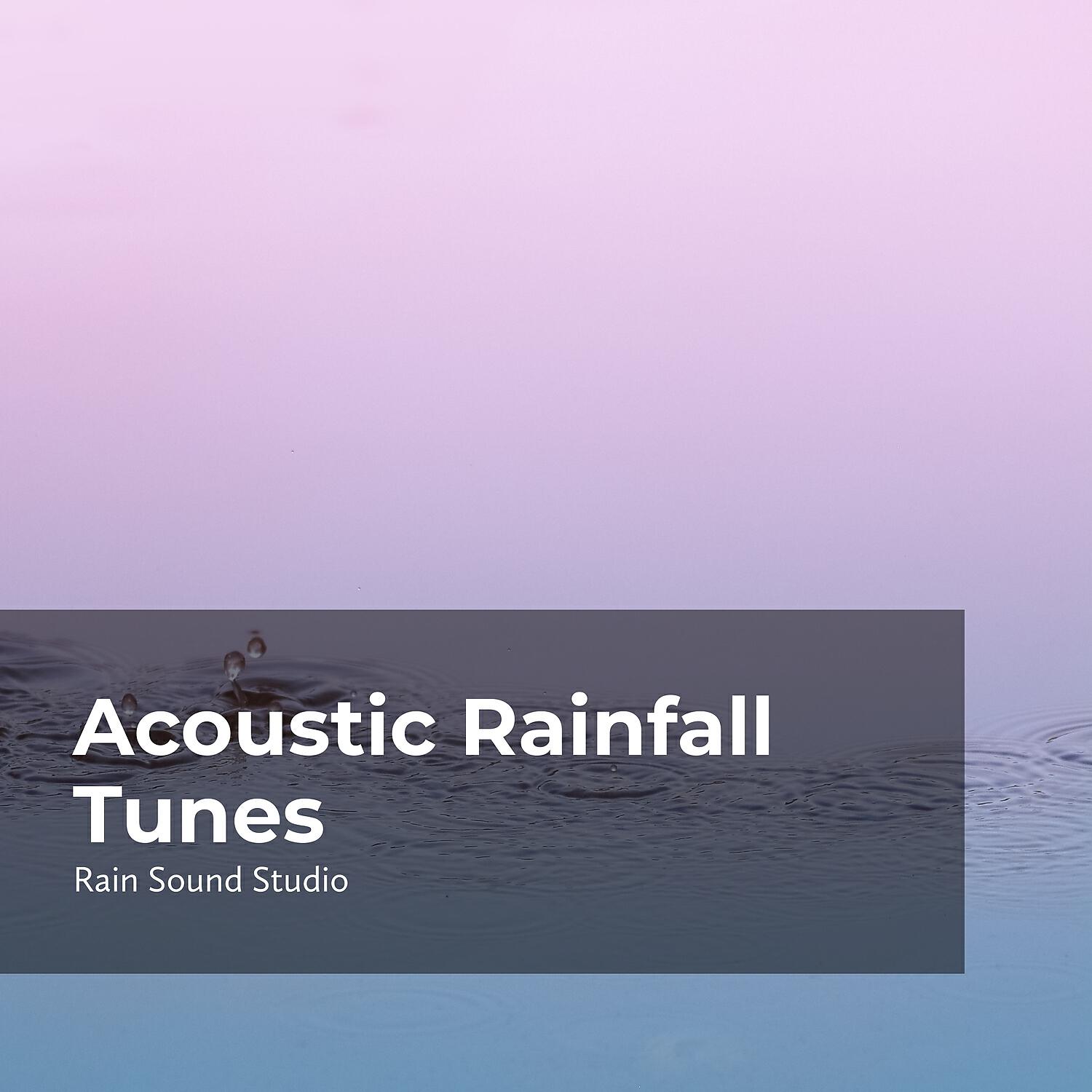 Релиз Acoustic Rainfall Tunes