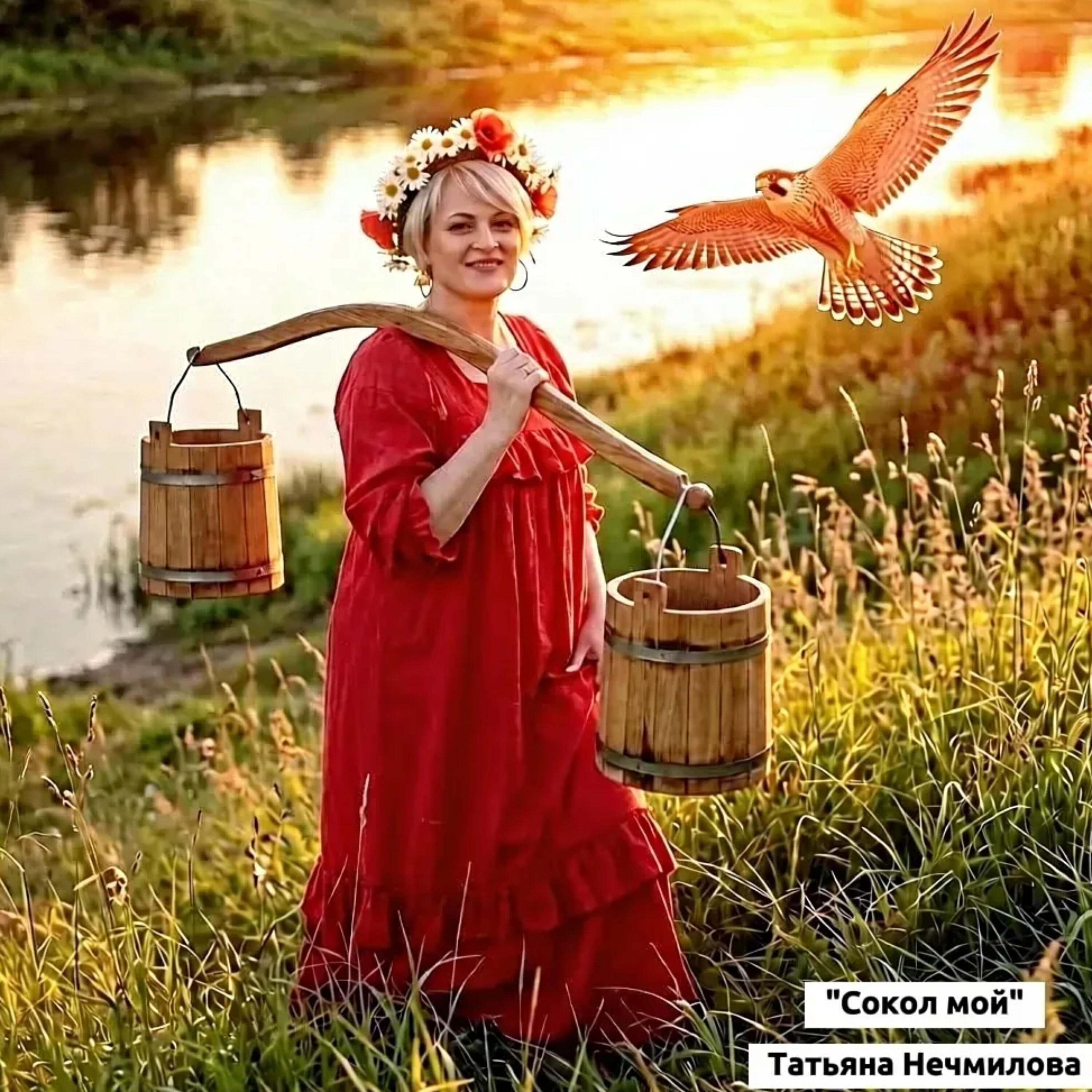 Релиз Сокол мой
