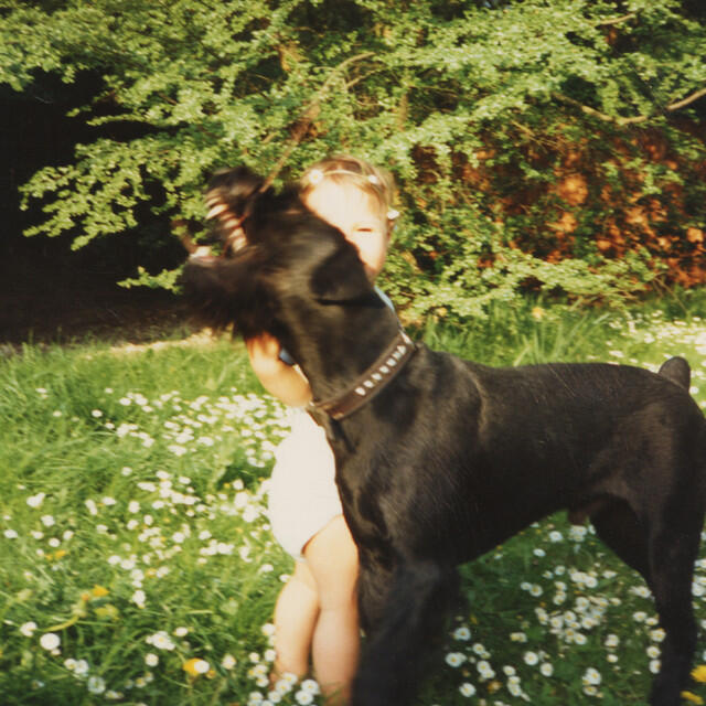 Релиз 1992DAY (deluxe edition)