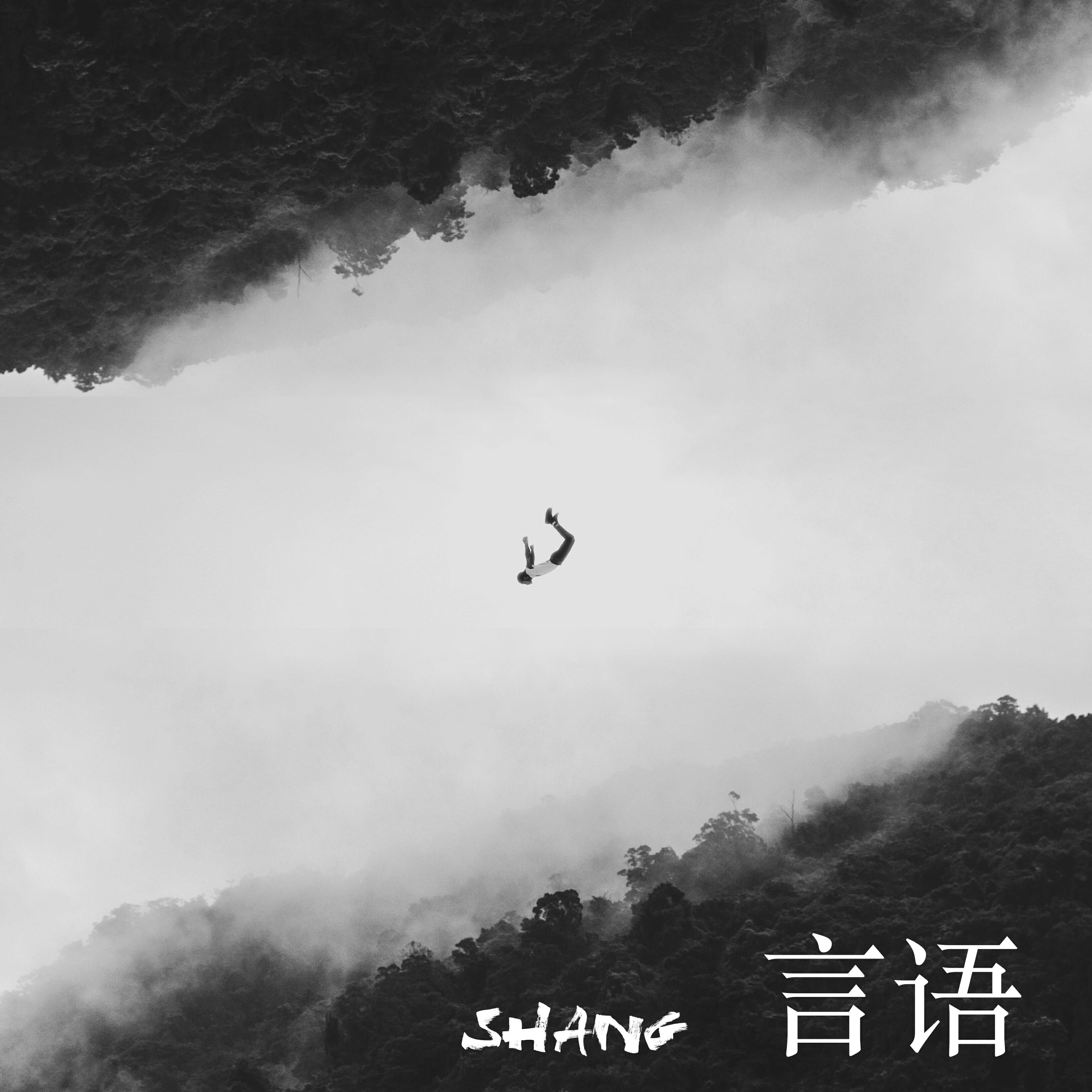 Релиз 言語