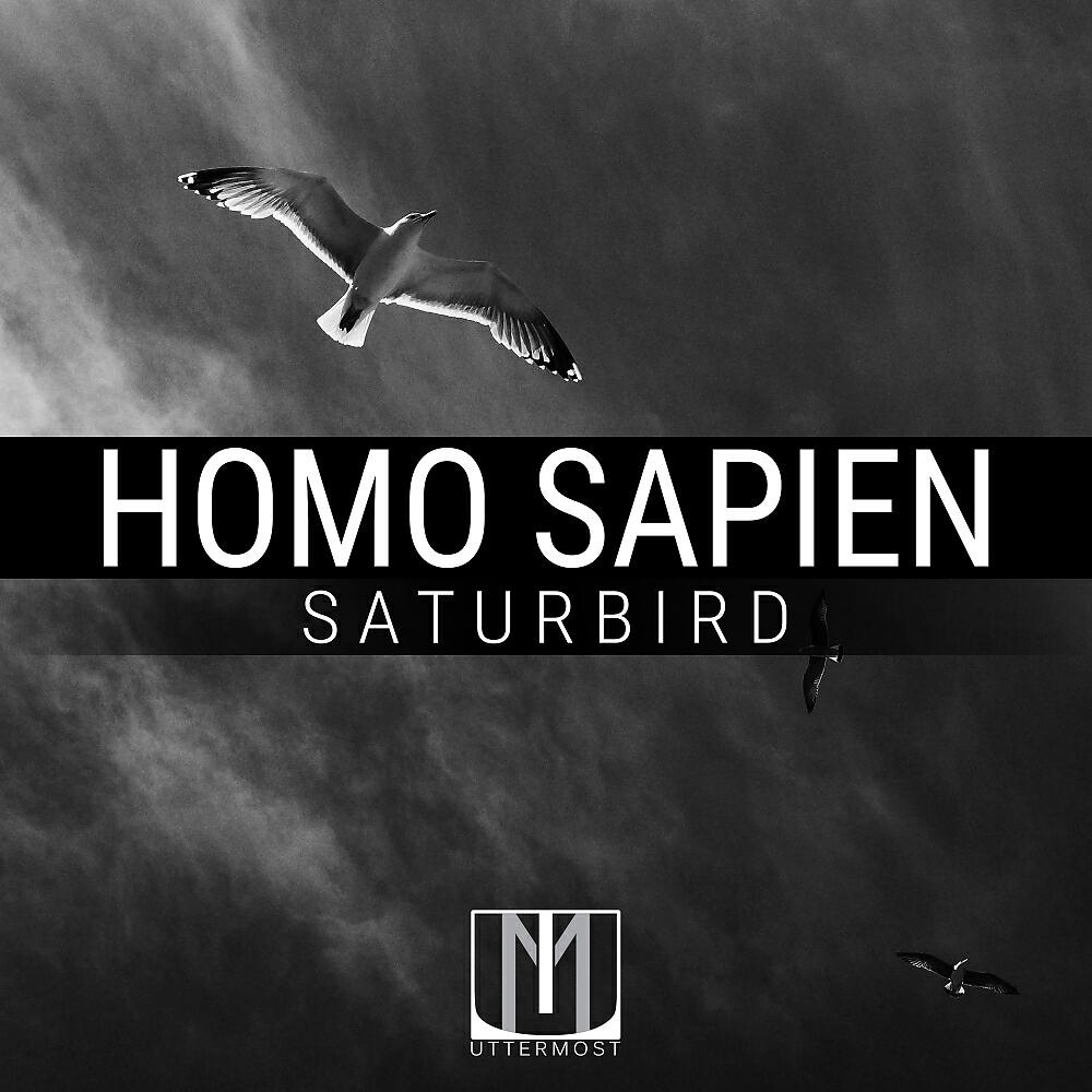 Релиз Saturbird