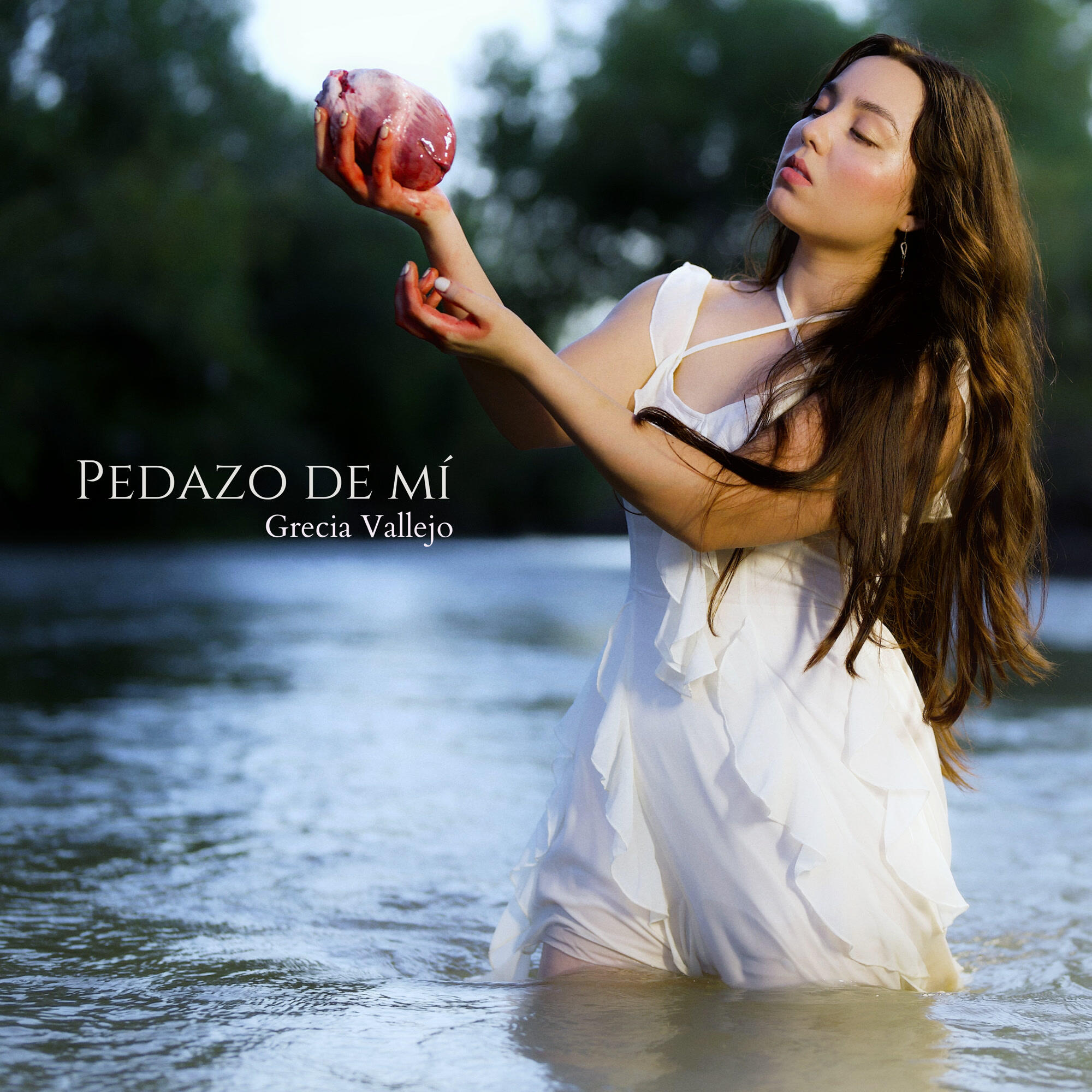 Релиз Pedazo de mí