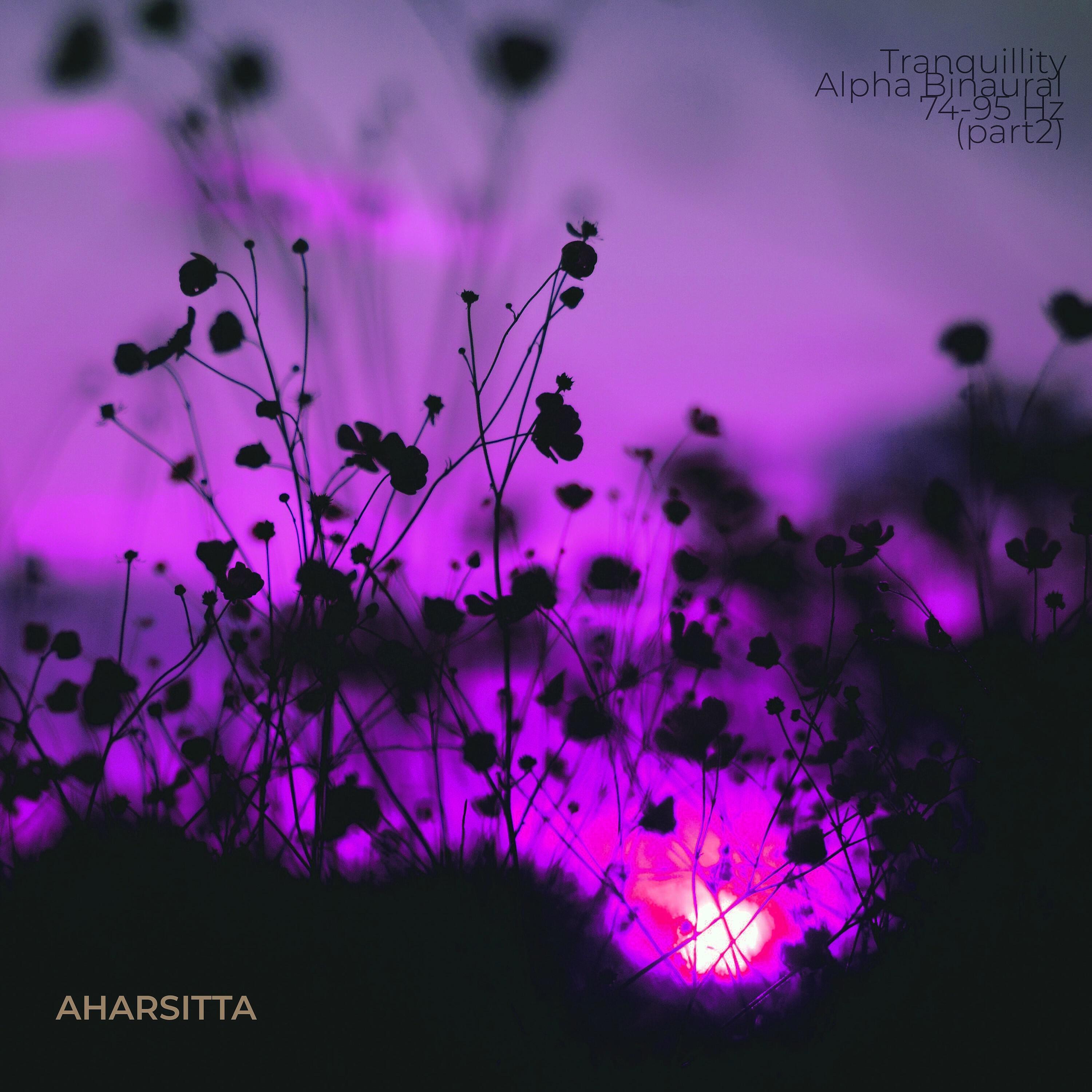 Релиз Tranquillity Alpha Binaural 74-95 Hz, Pt. 2