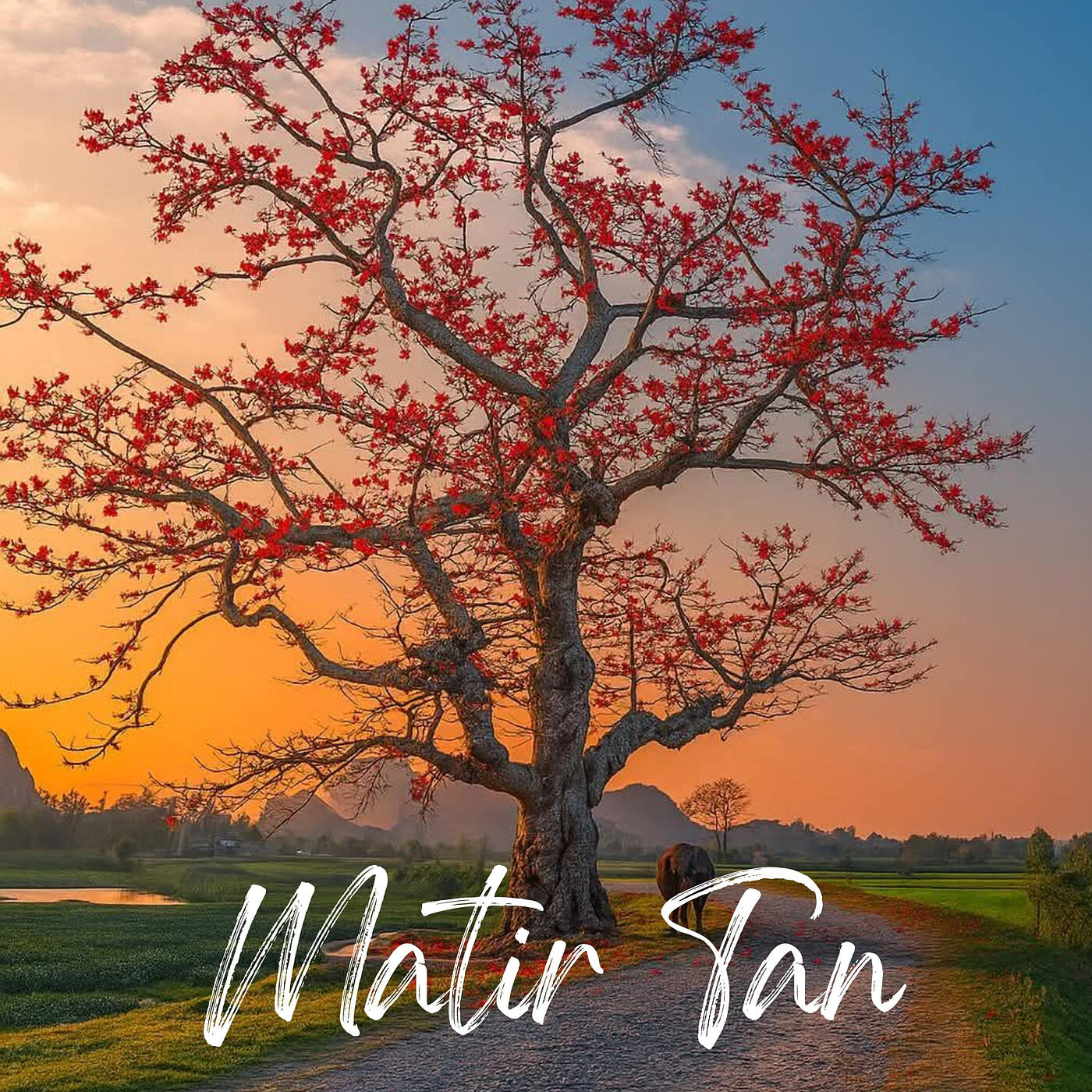 Релиз Matir Tan