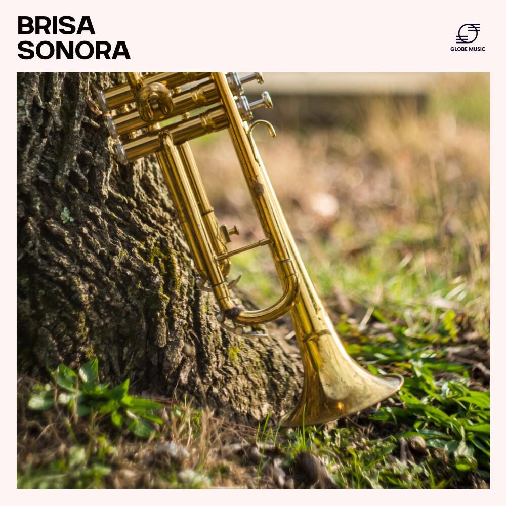 Релиз Brisa Sonora