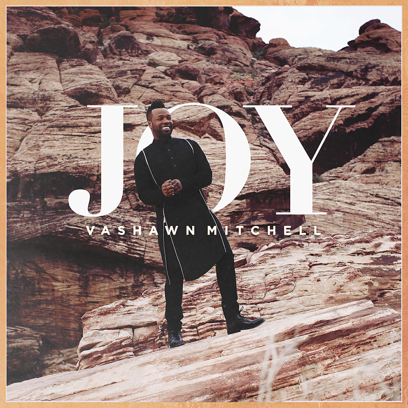 Релиз Joy