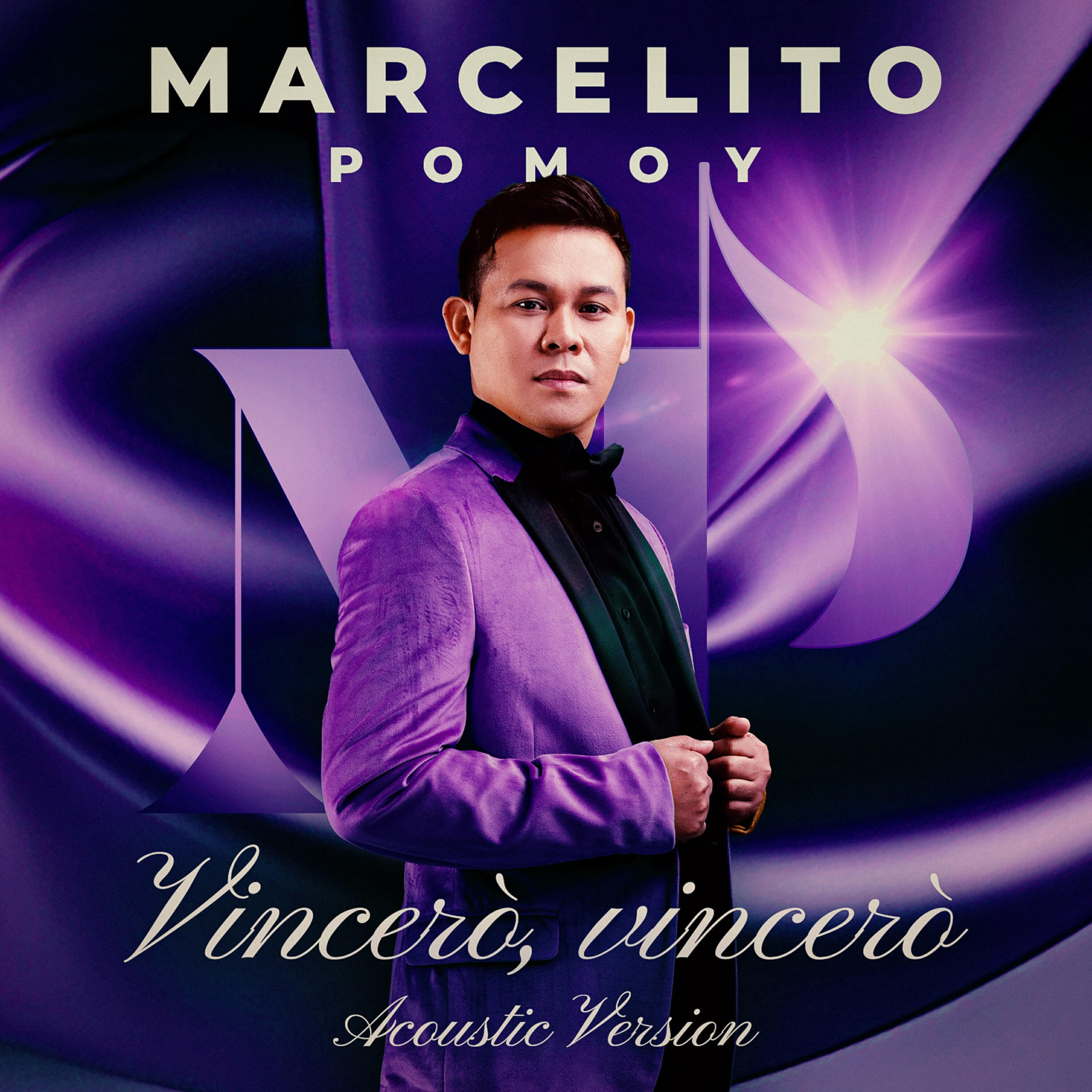 Постер альбома Vincerò, vincerò