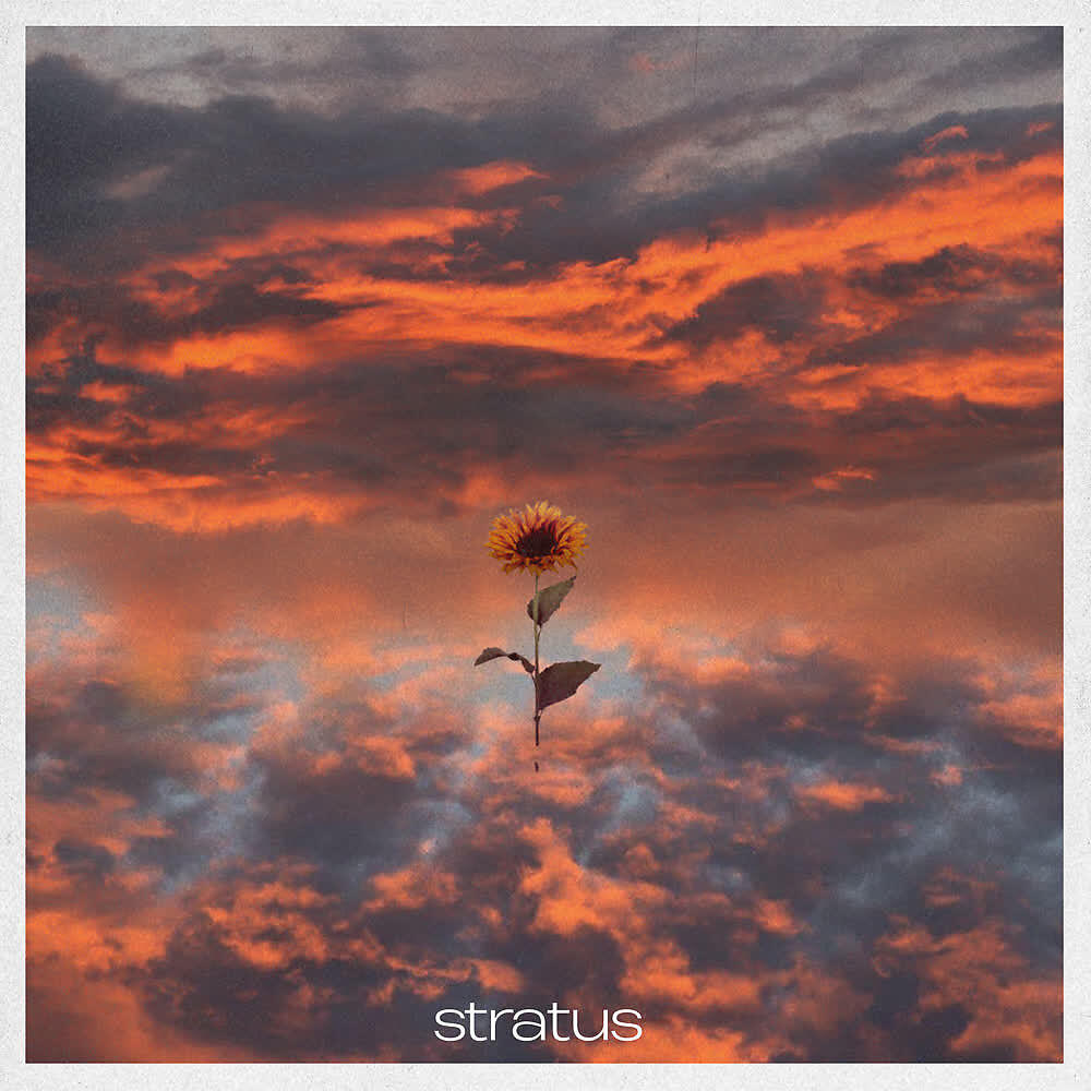 Релиз Stratus