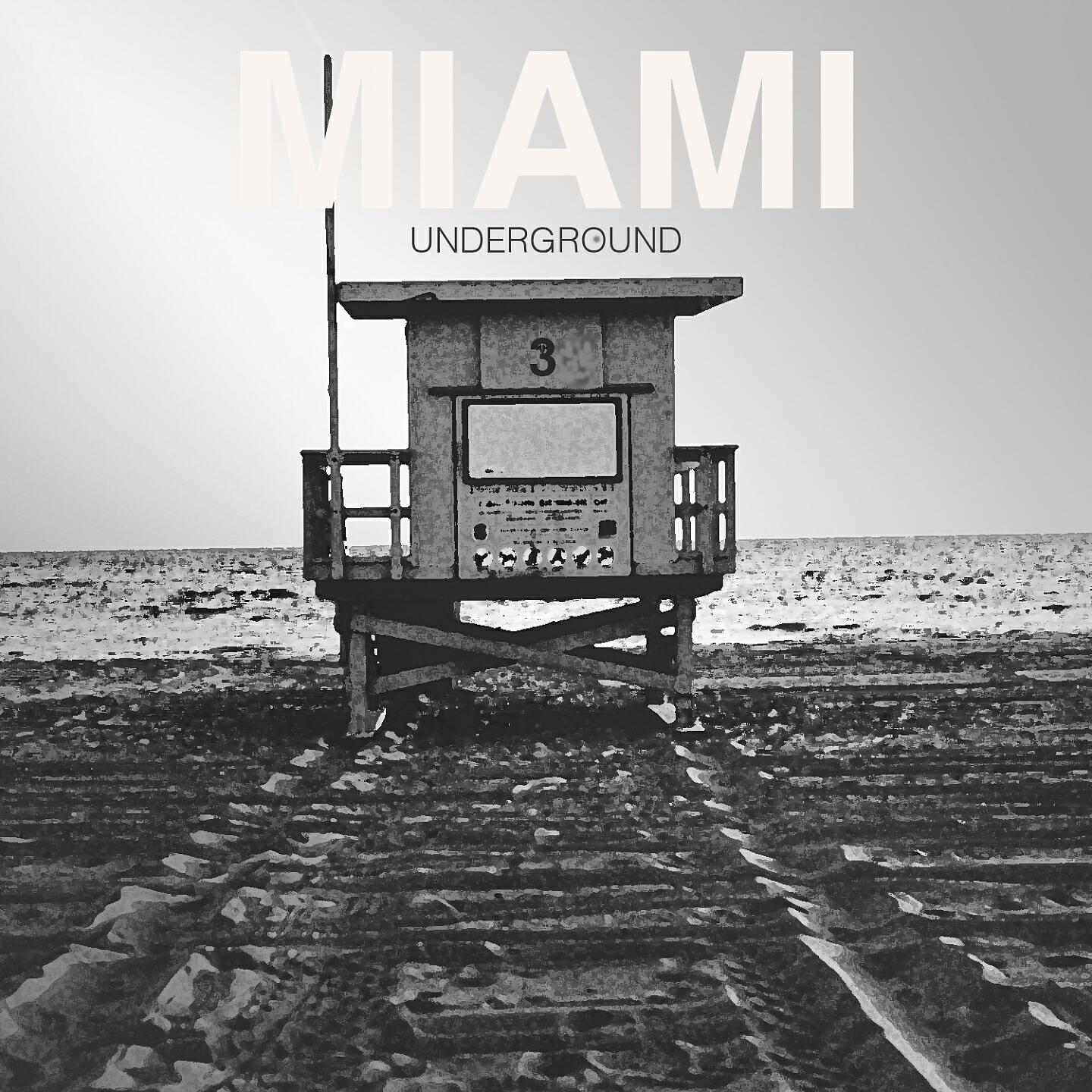 Релиз Miami Underground 03