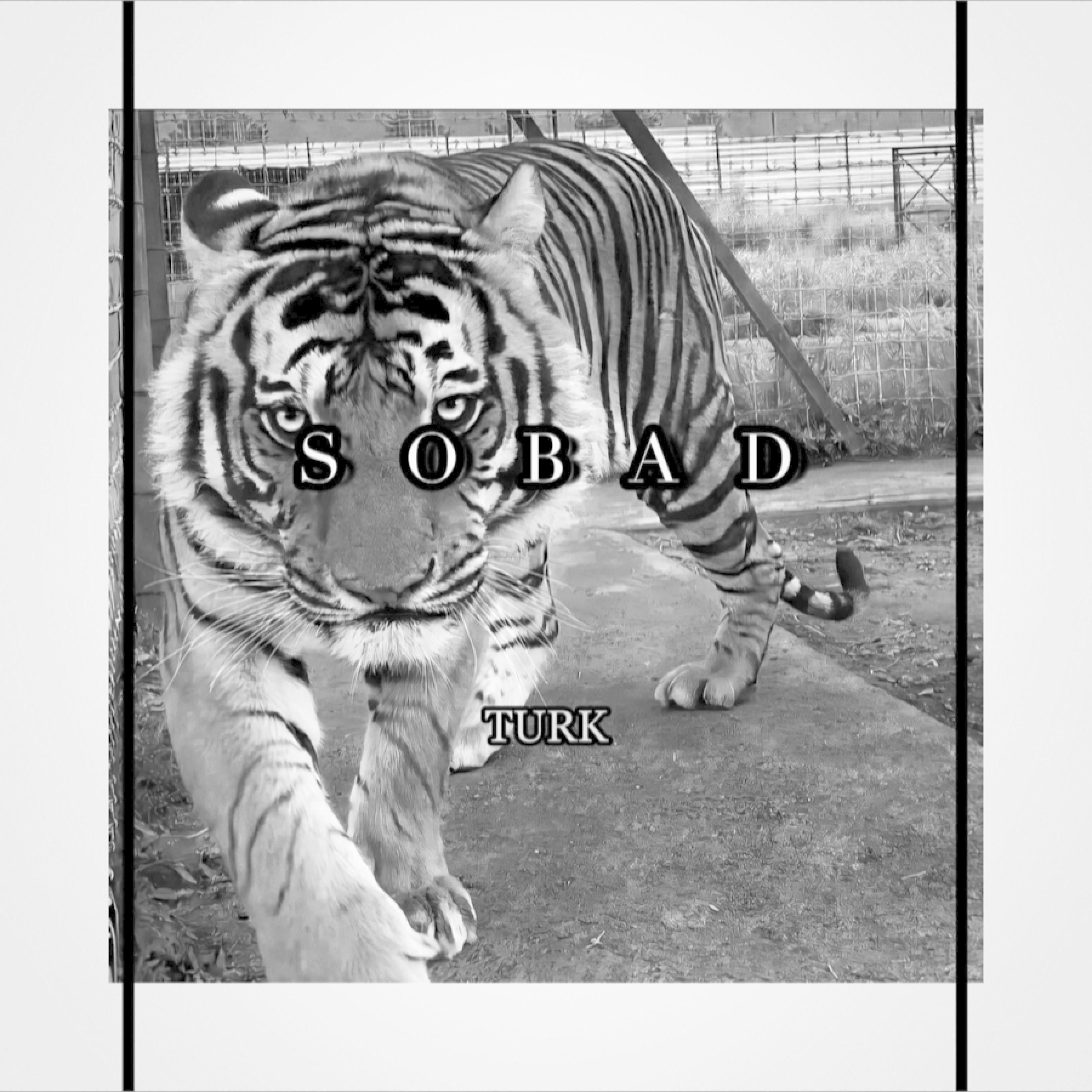 Релиз So Bad