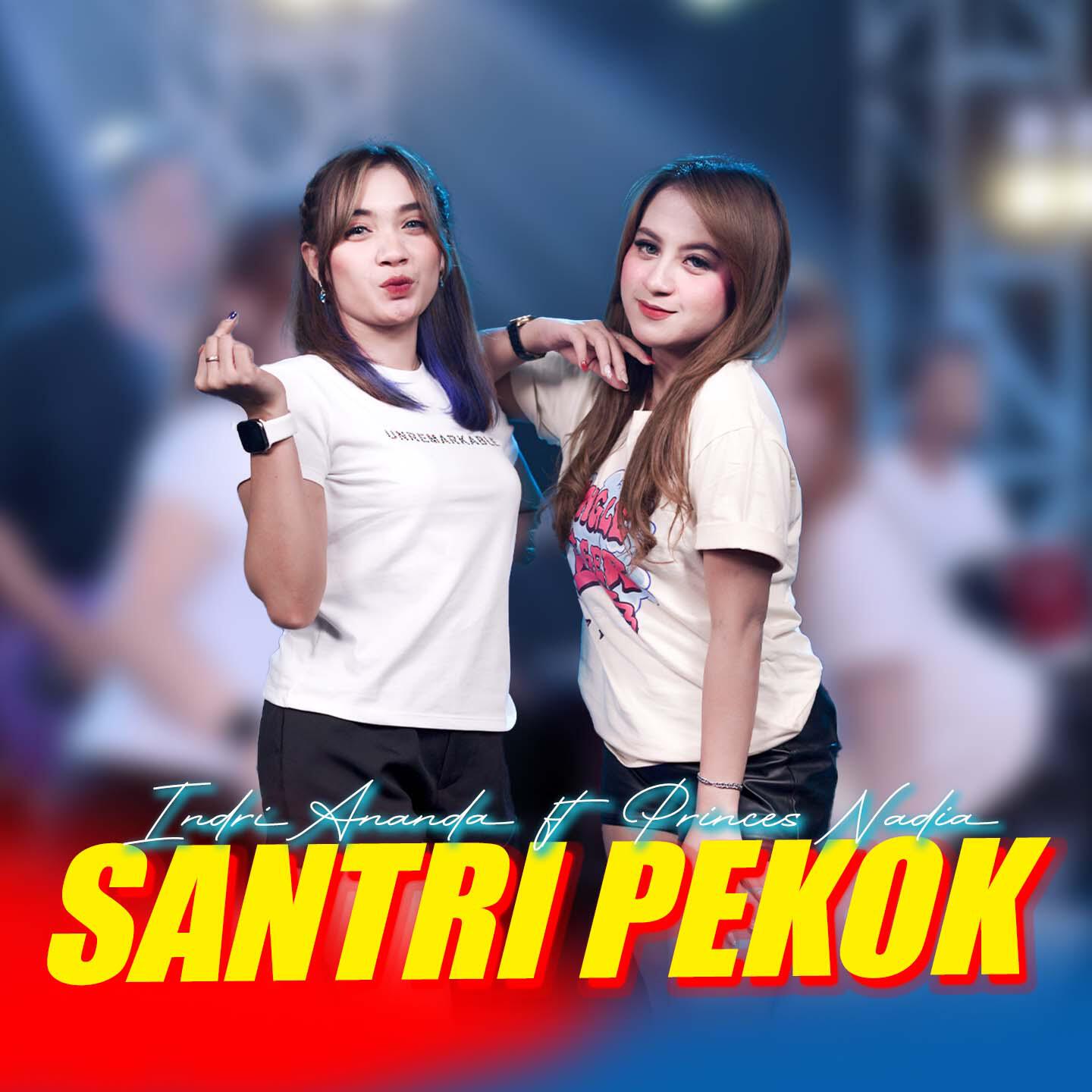 Релиз Santri Pekok