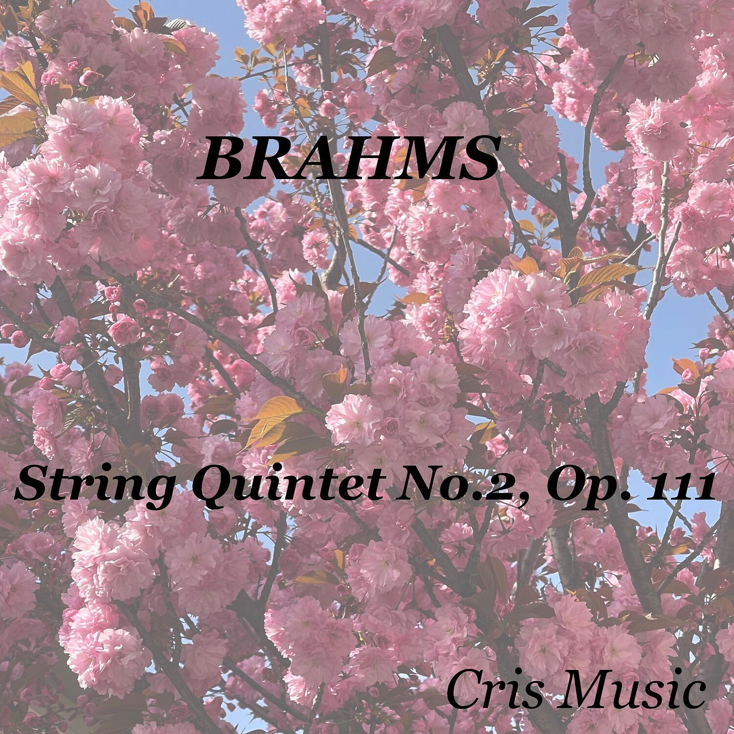 Релиз Brahms: String Quintet No.2, Op. 111