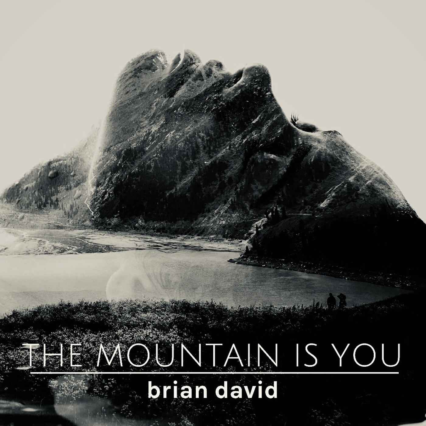 Brian David