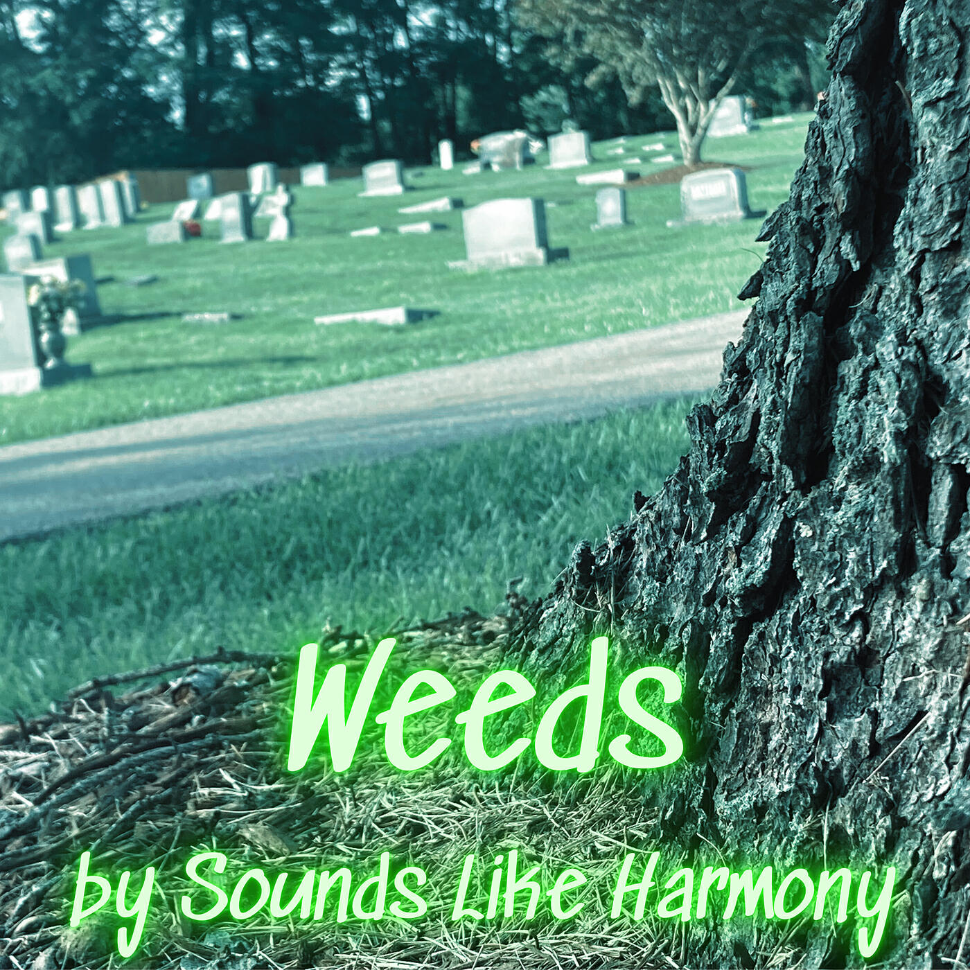Релиз Weeds