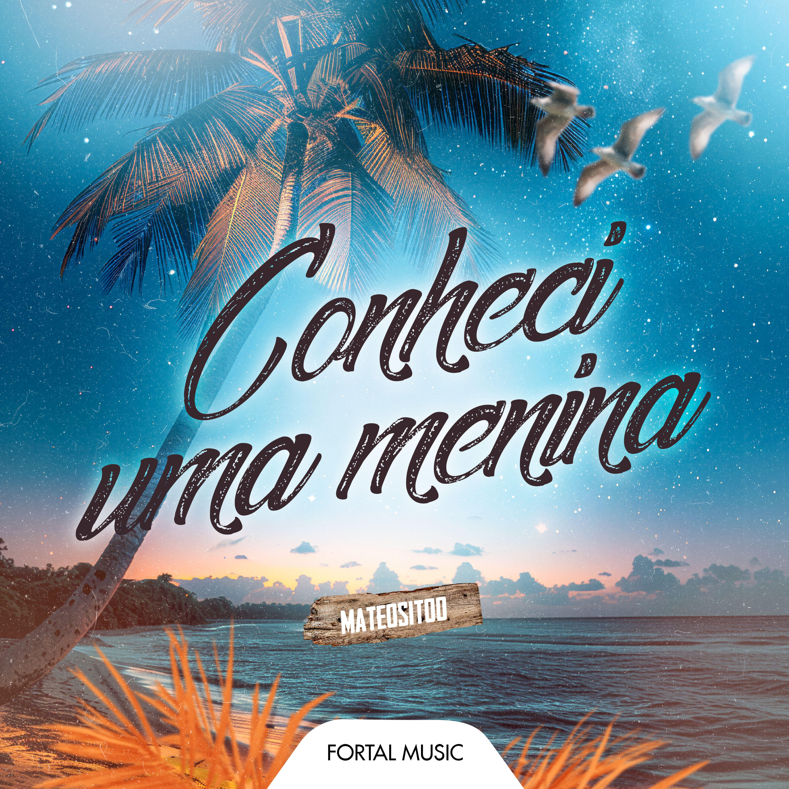 Релиз Conheci Uma Menina (Remix)
