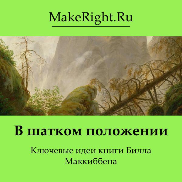 Книга В шатком положении