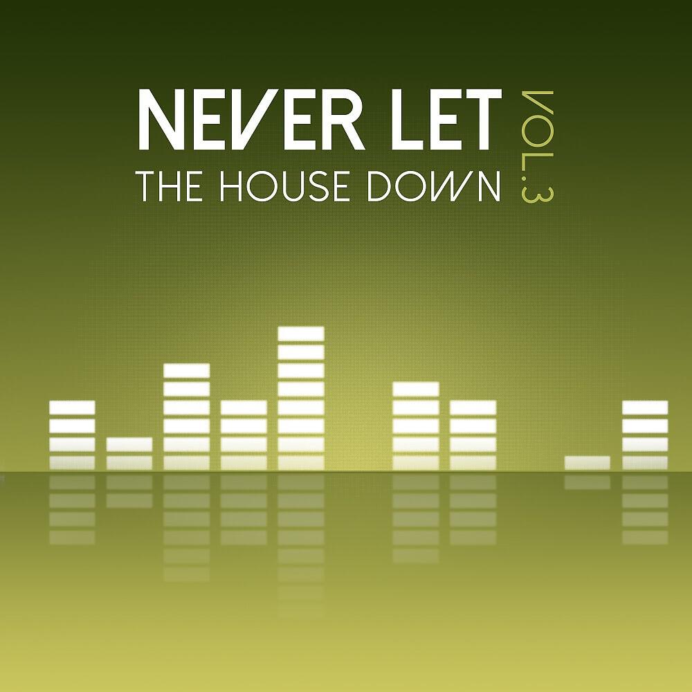 Релиз Never Let the House Down, Vol. 3