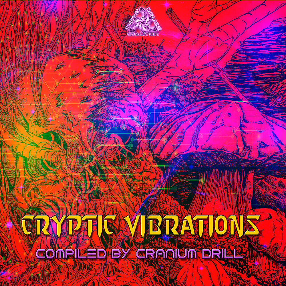 Релиз Cryptic Vibrations