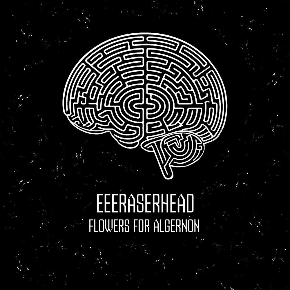 Релиз flowers for algernon