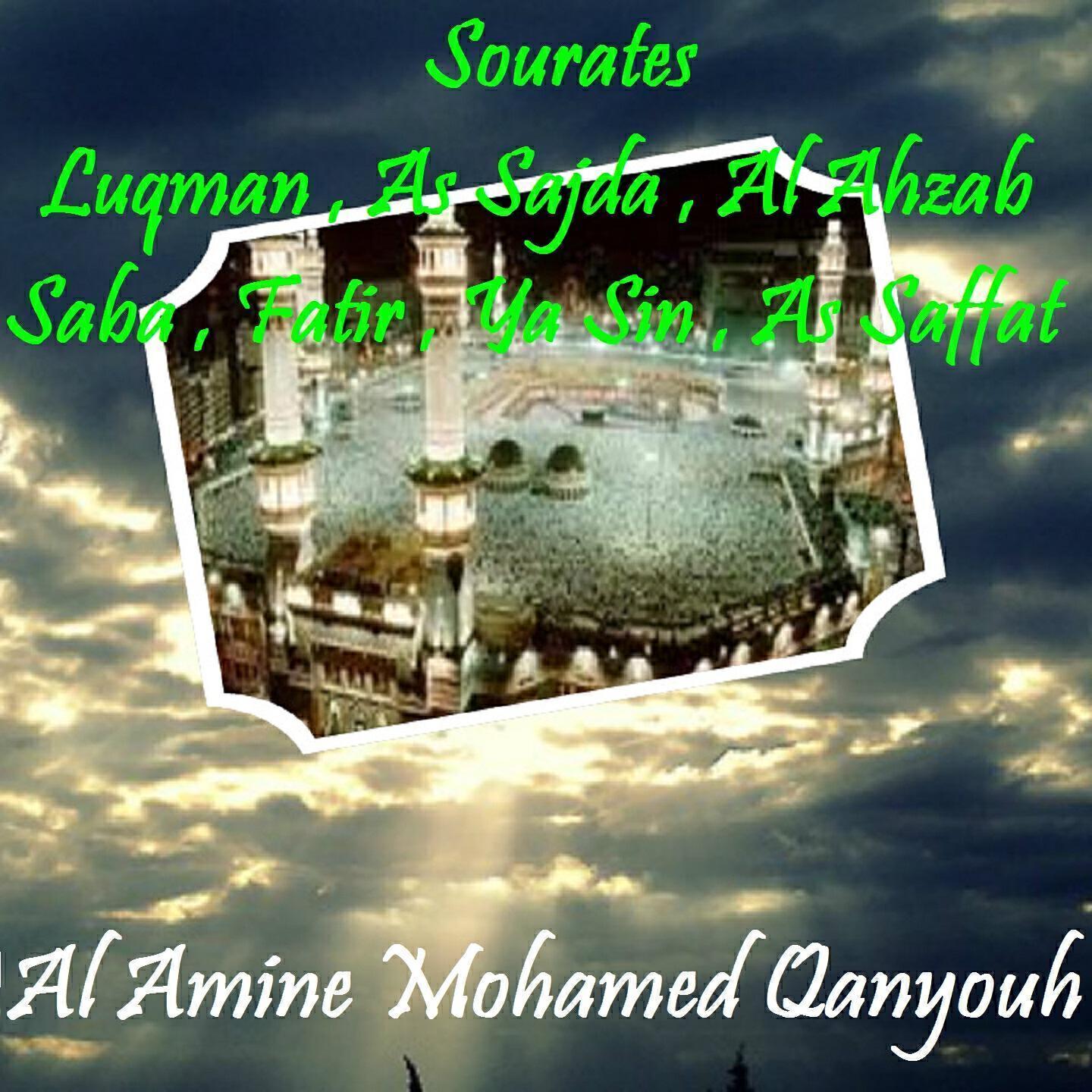 Al Amine Mohamed Qanyouh