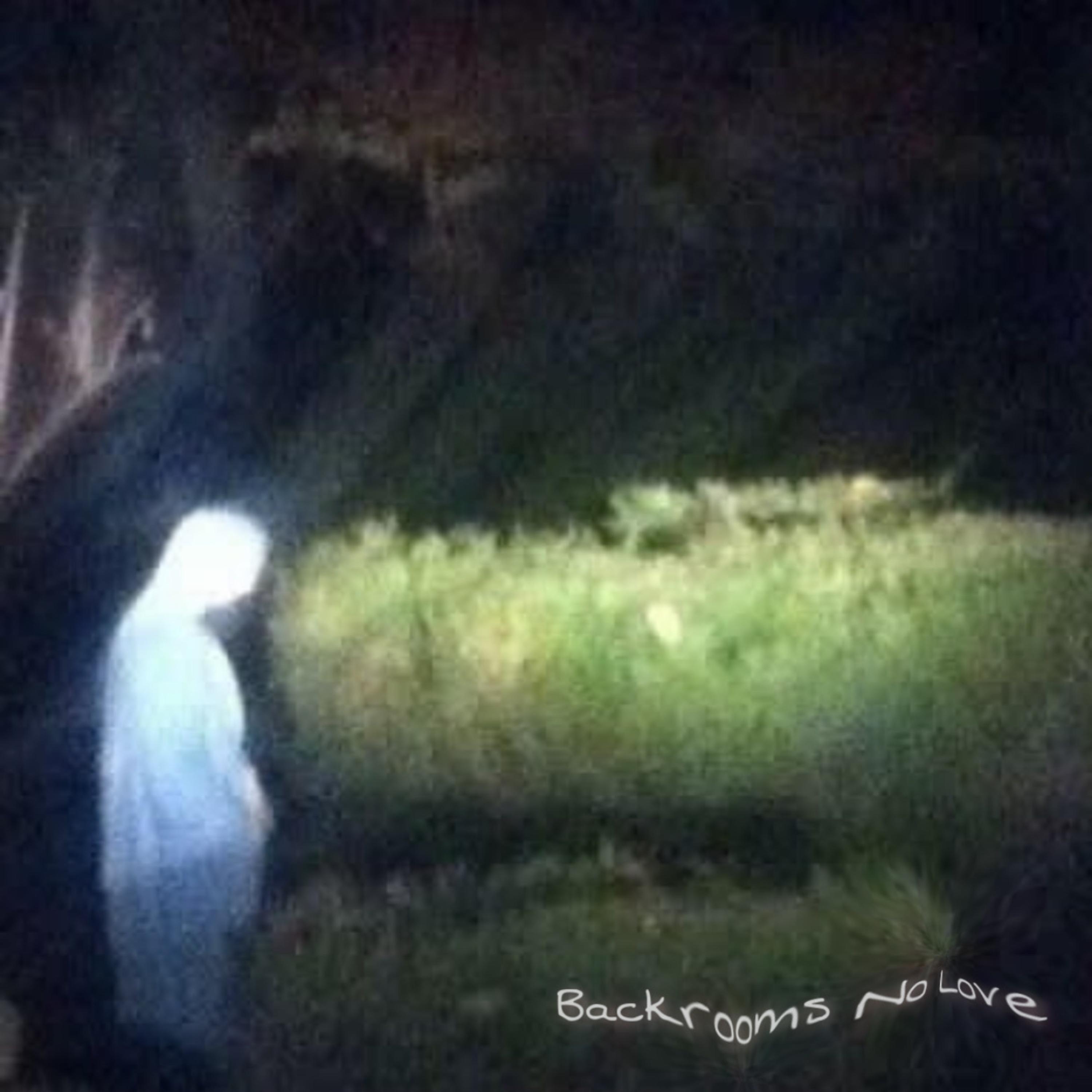 Релиз Backrooms No Love
