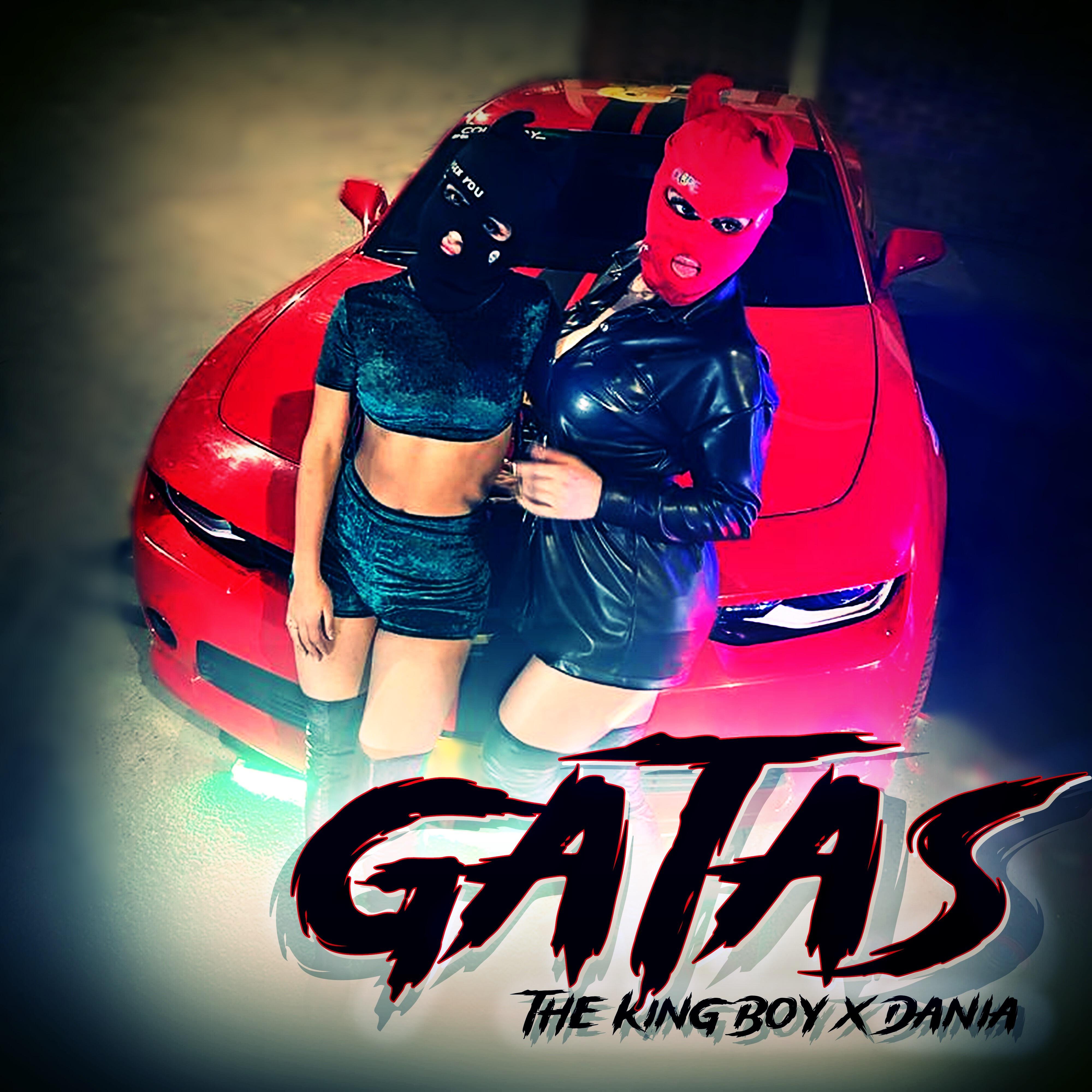 Релиз Gatas