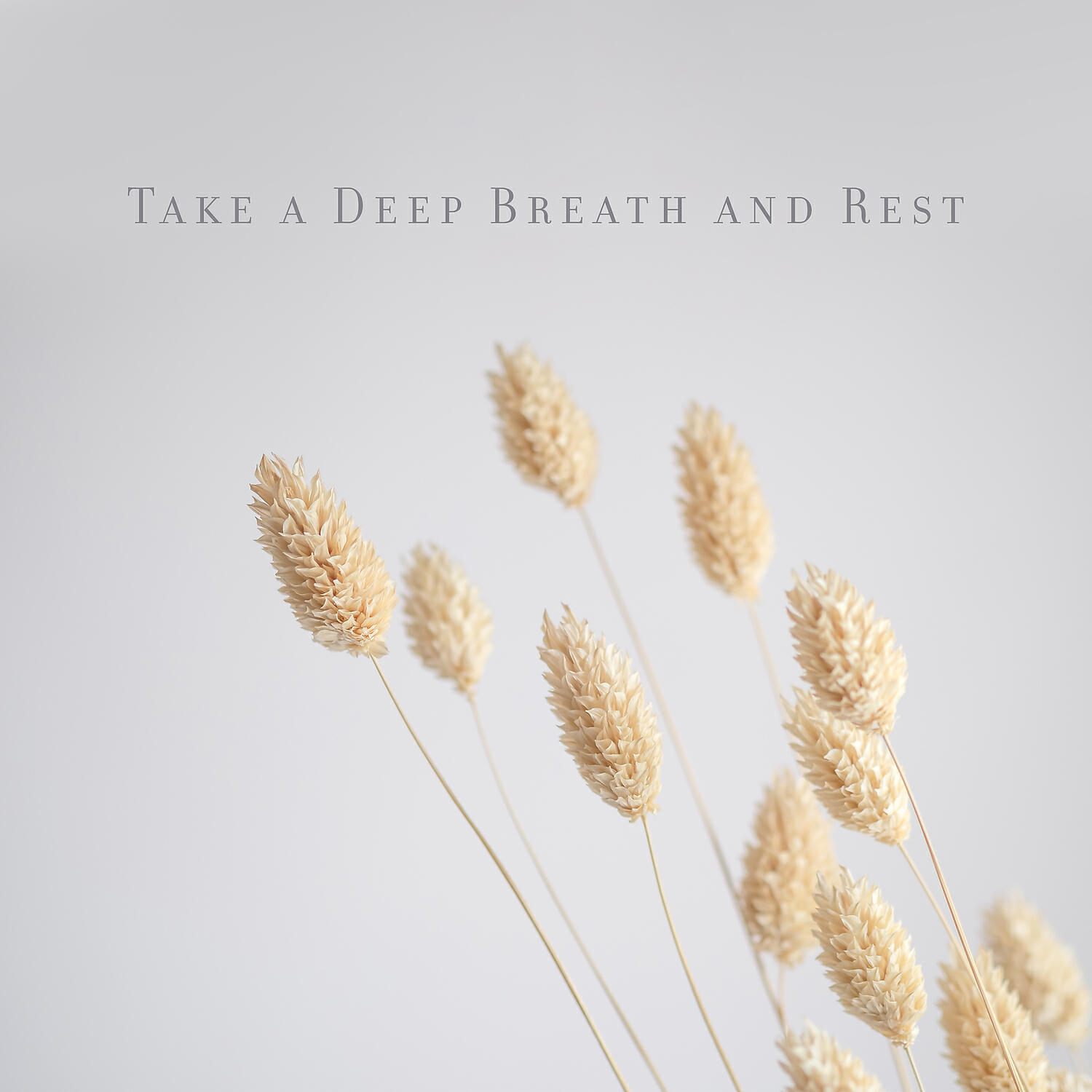 Релиз Take a Deep Breath and Rest