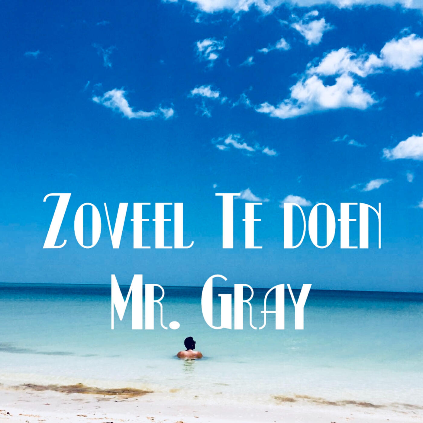 Постер альбома Zoveel Te Doen