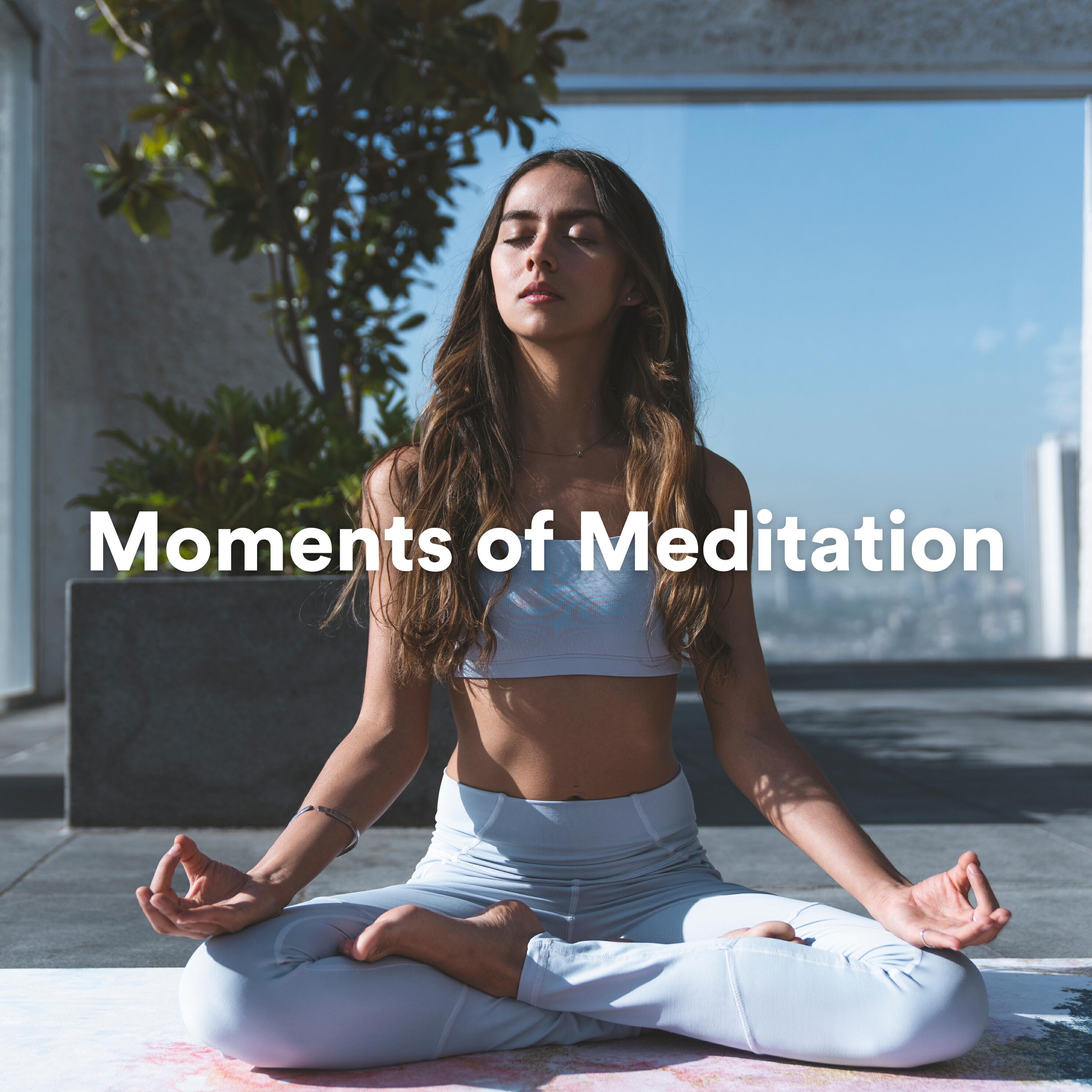 Релиз Moments of Meditation