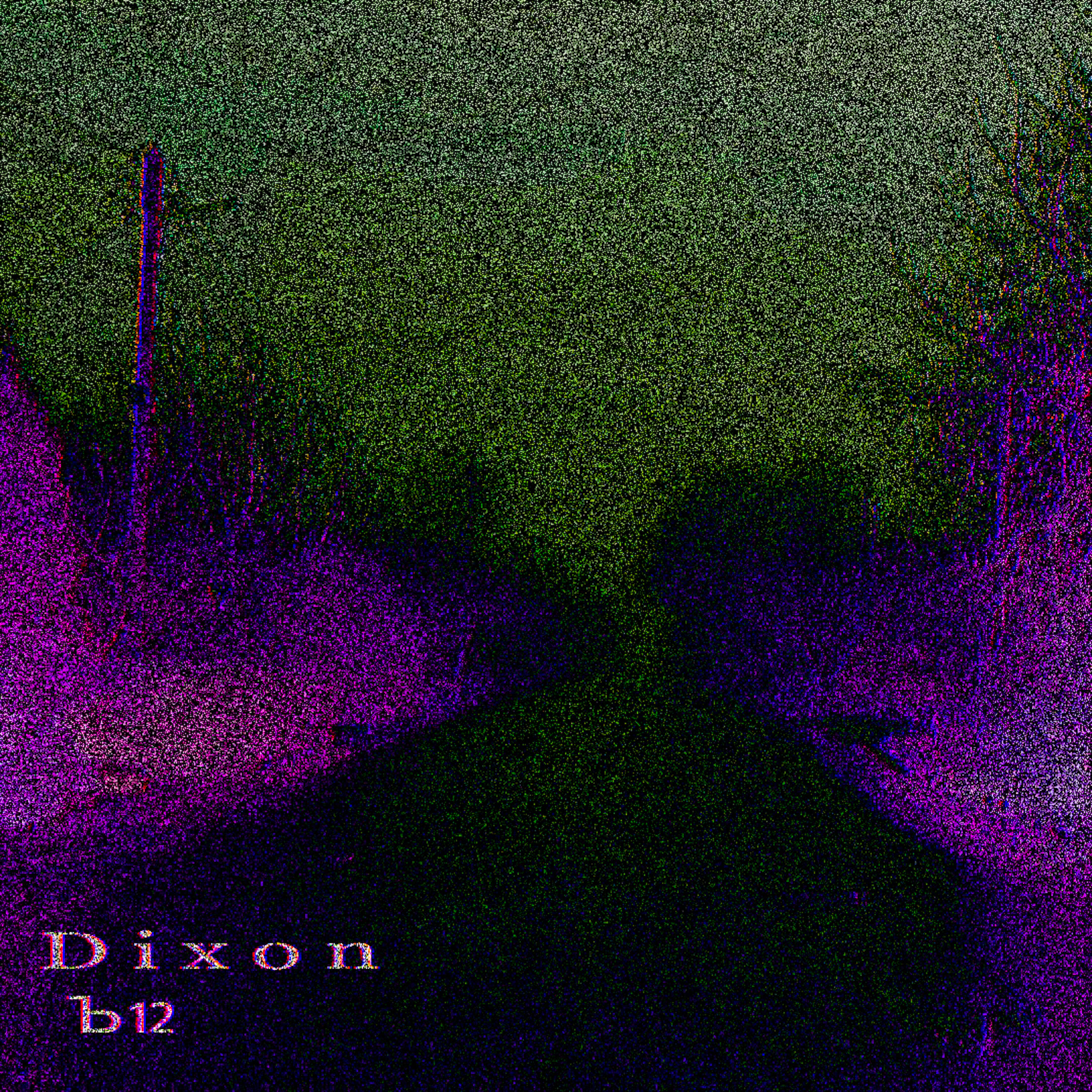 Постер альбома Dixon