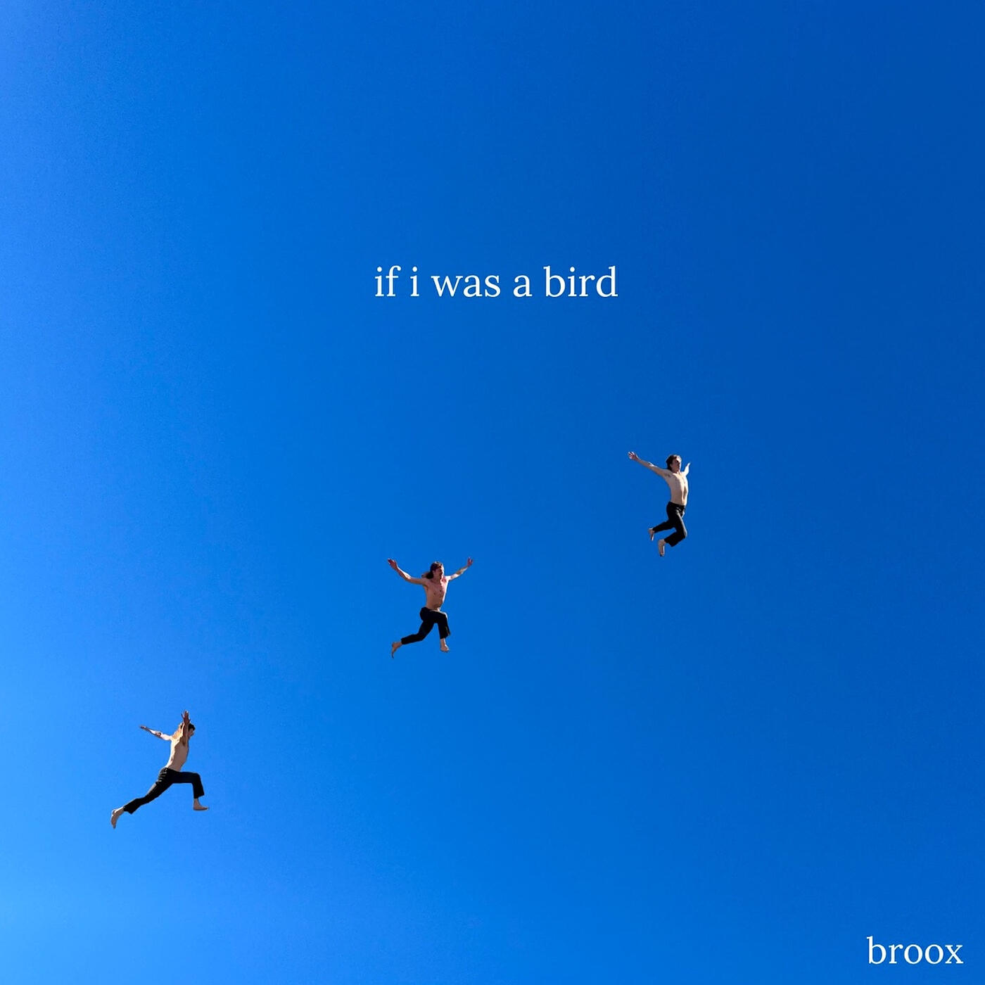 Релиз If I Was a Bird