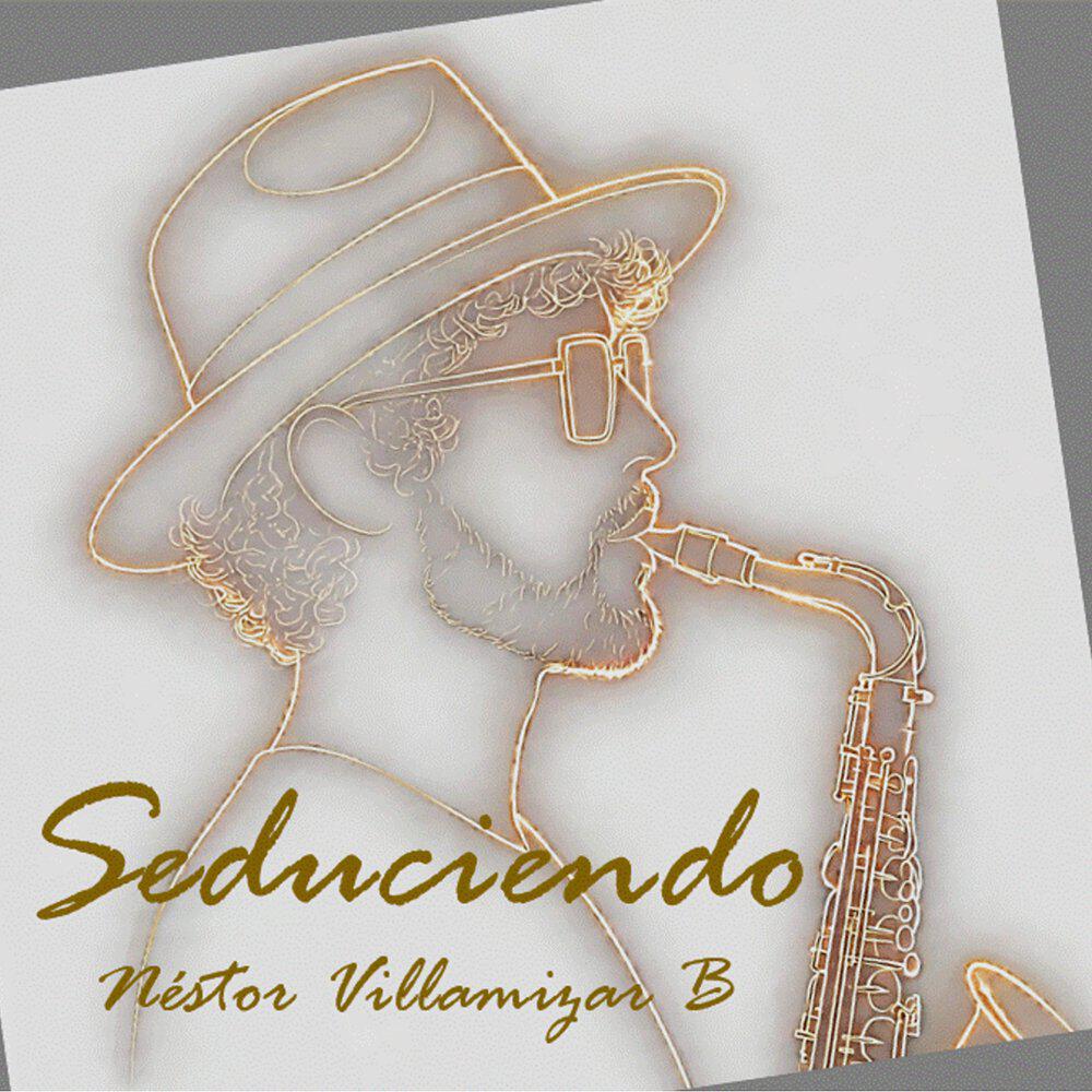 Néstor Villamizar B