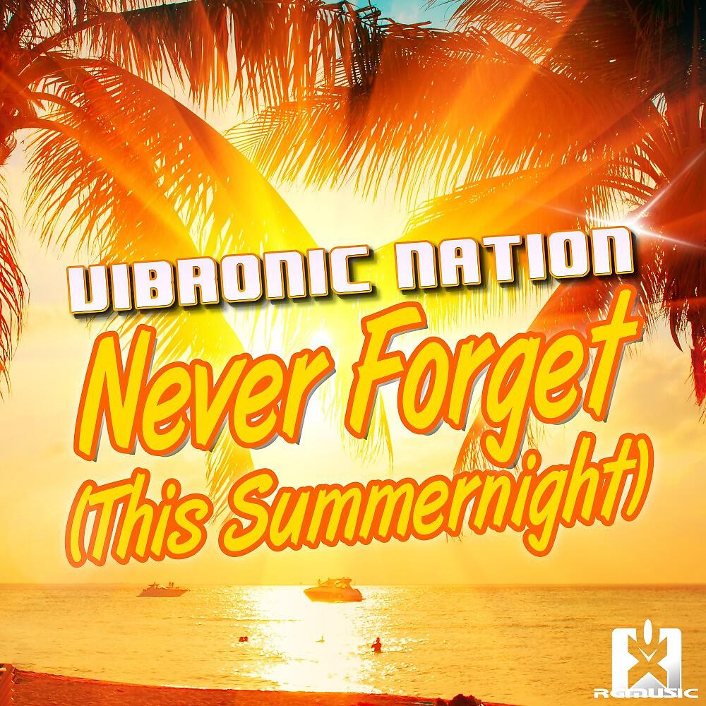 Релиз Never Forget (This Summernight)