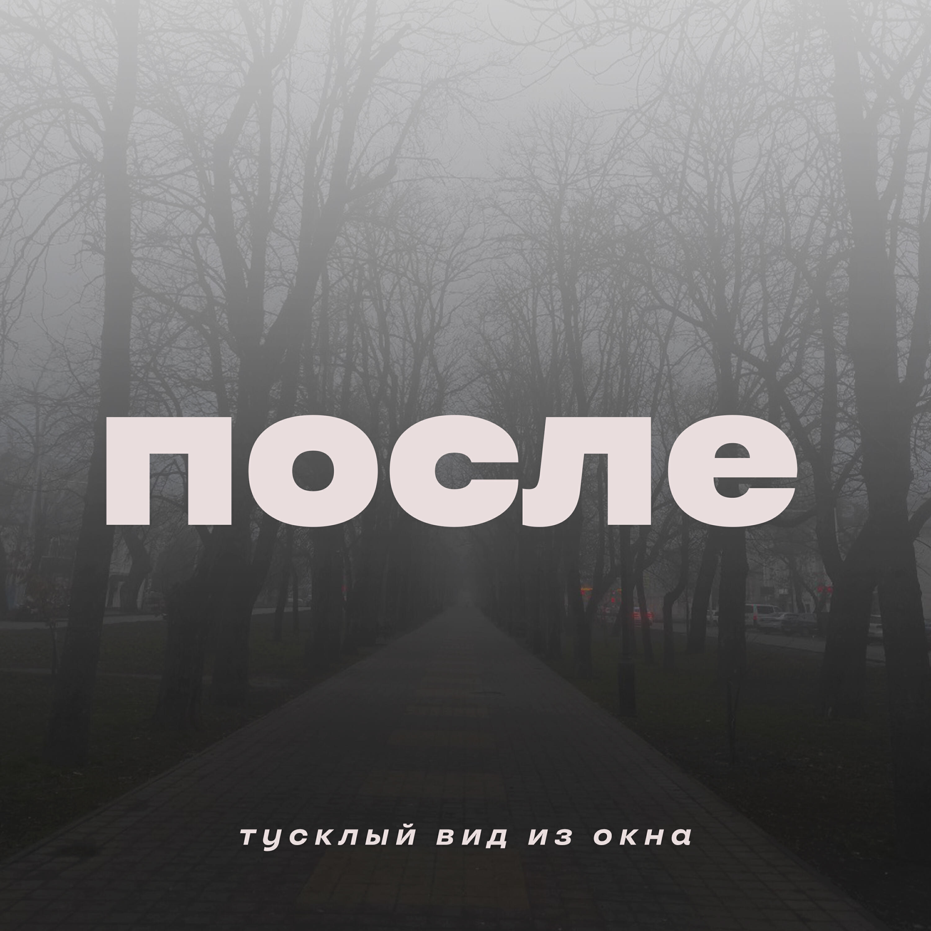 Релиз После