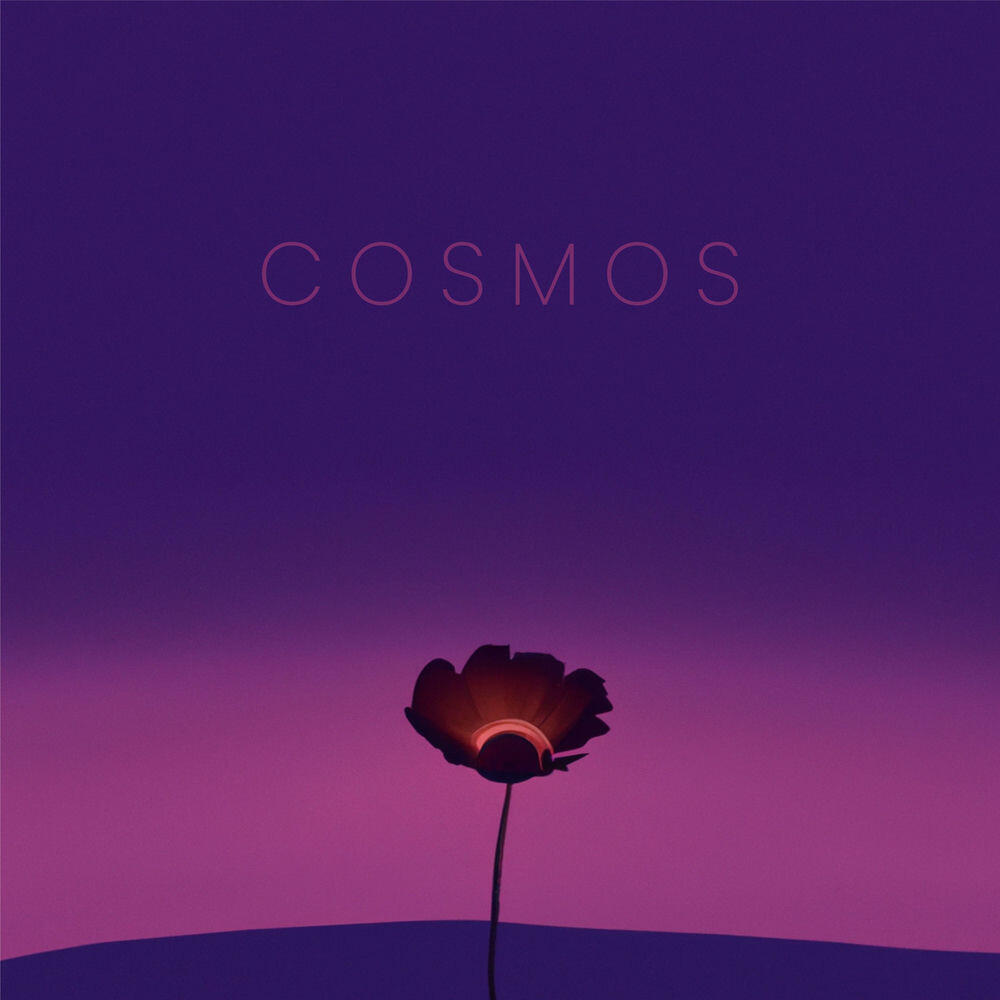Релиз Cosmos